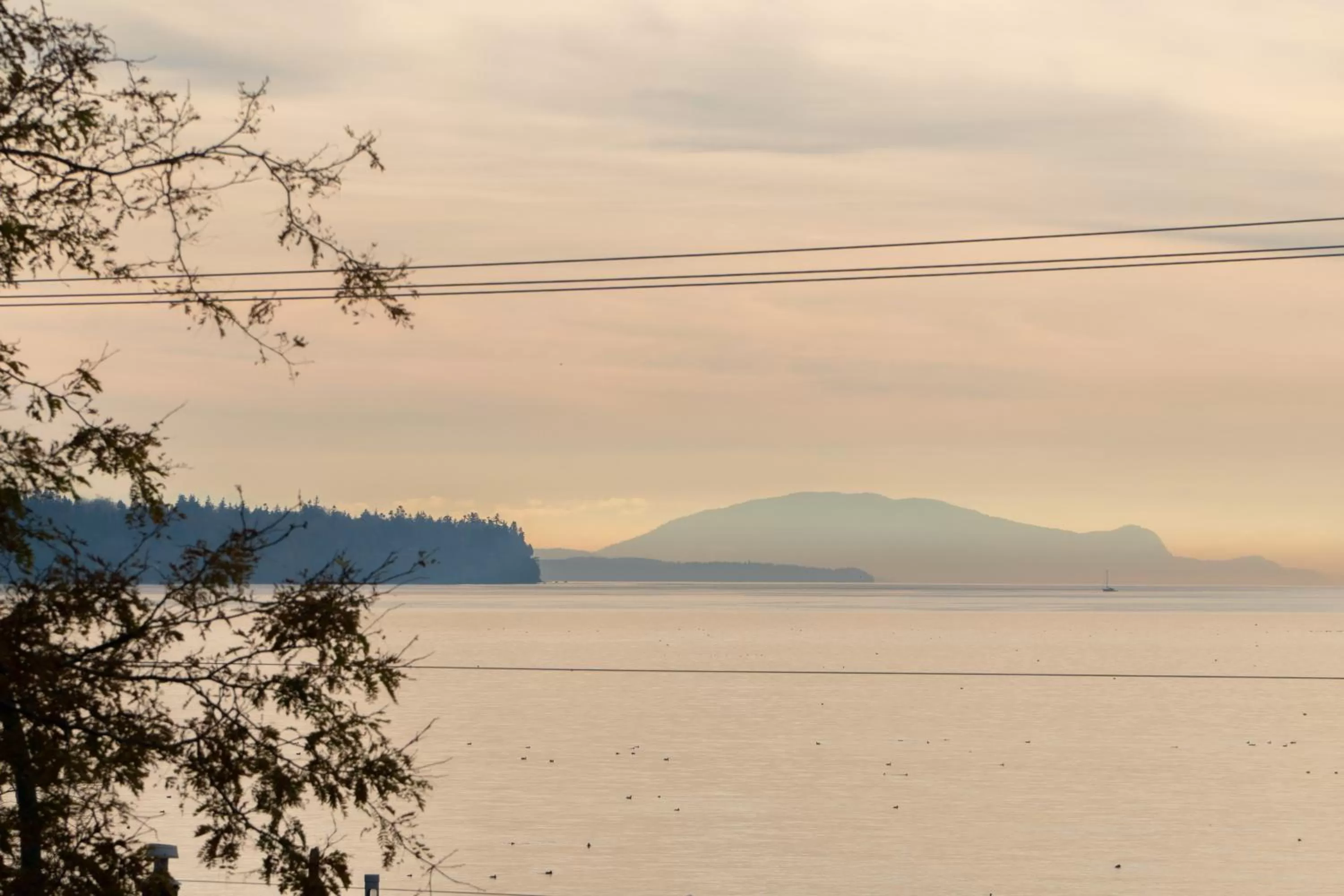 Sea view in Ocean Promenade Hotel