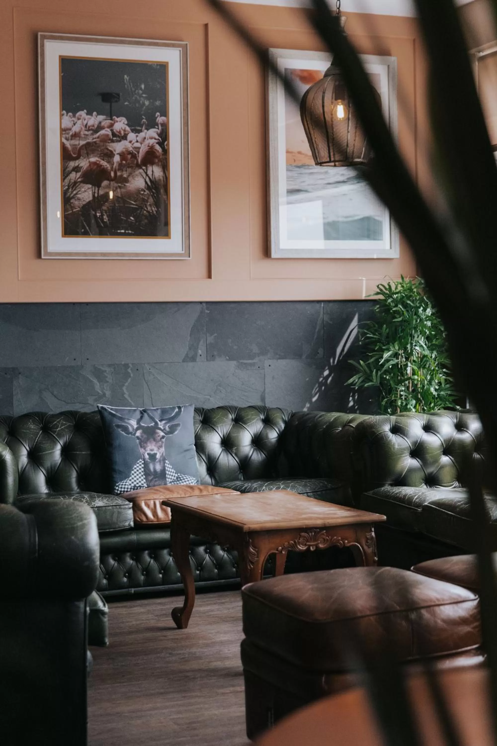 Lounge or bar in An Mor Accommodation