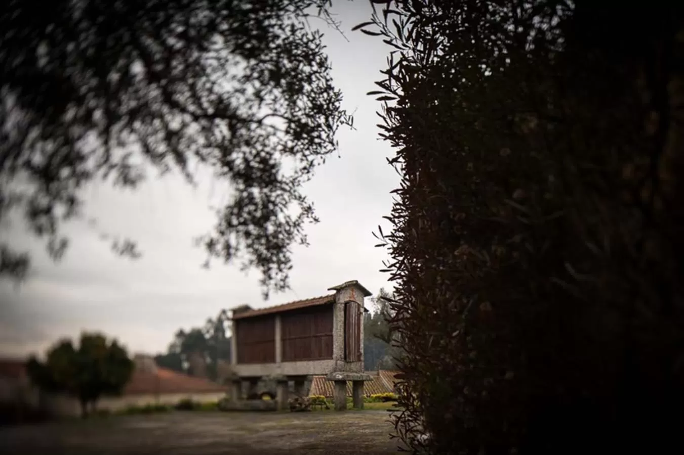 Garden view in Hotel Rural de Charme Maria da Fonte