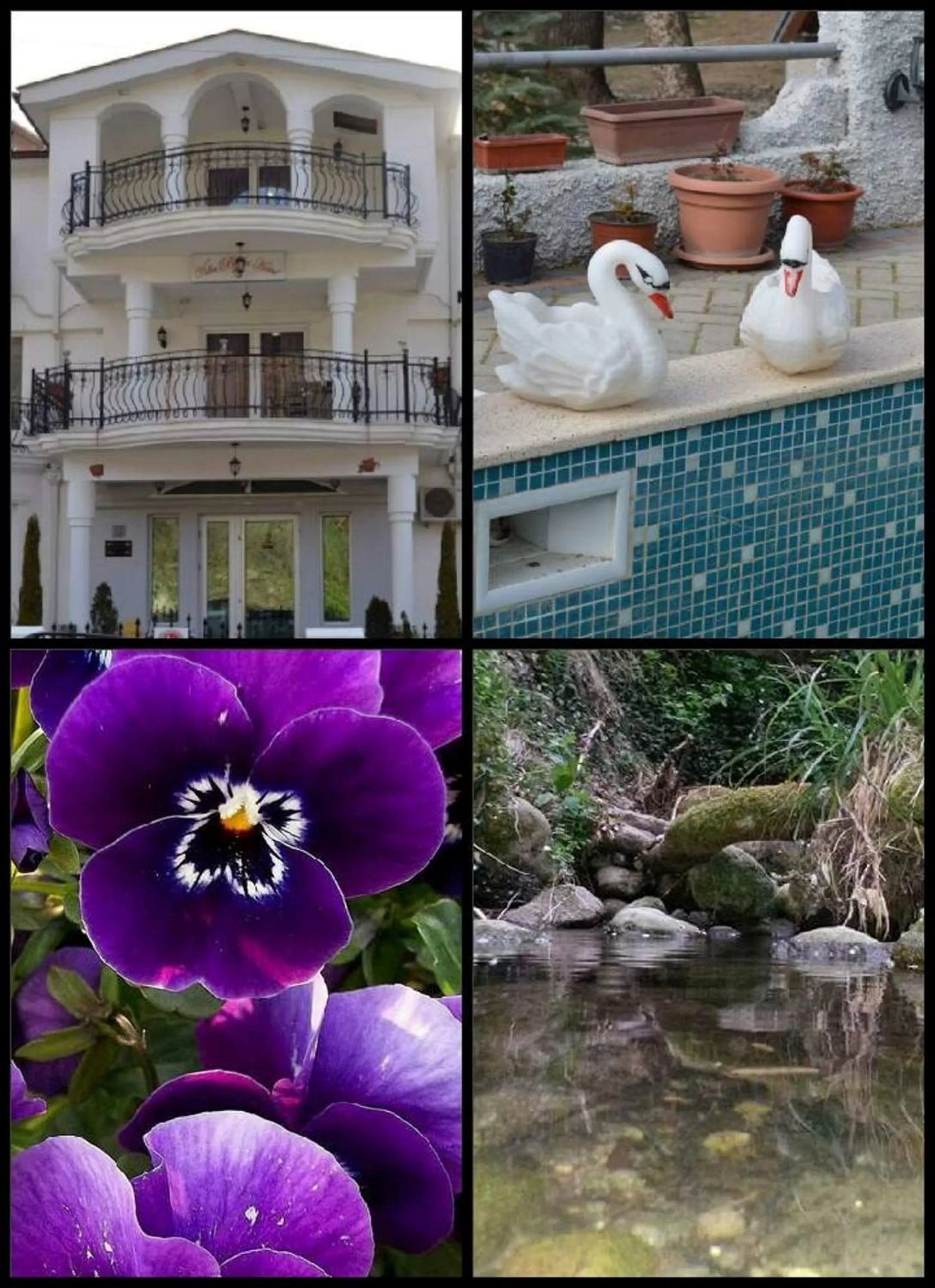 Garden view in Villa Bella Boutique Hotel