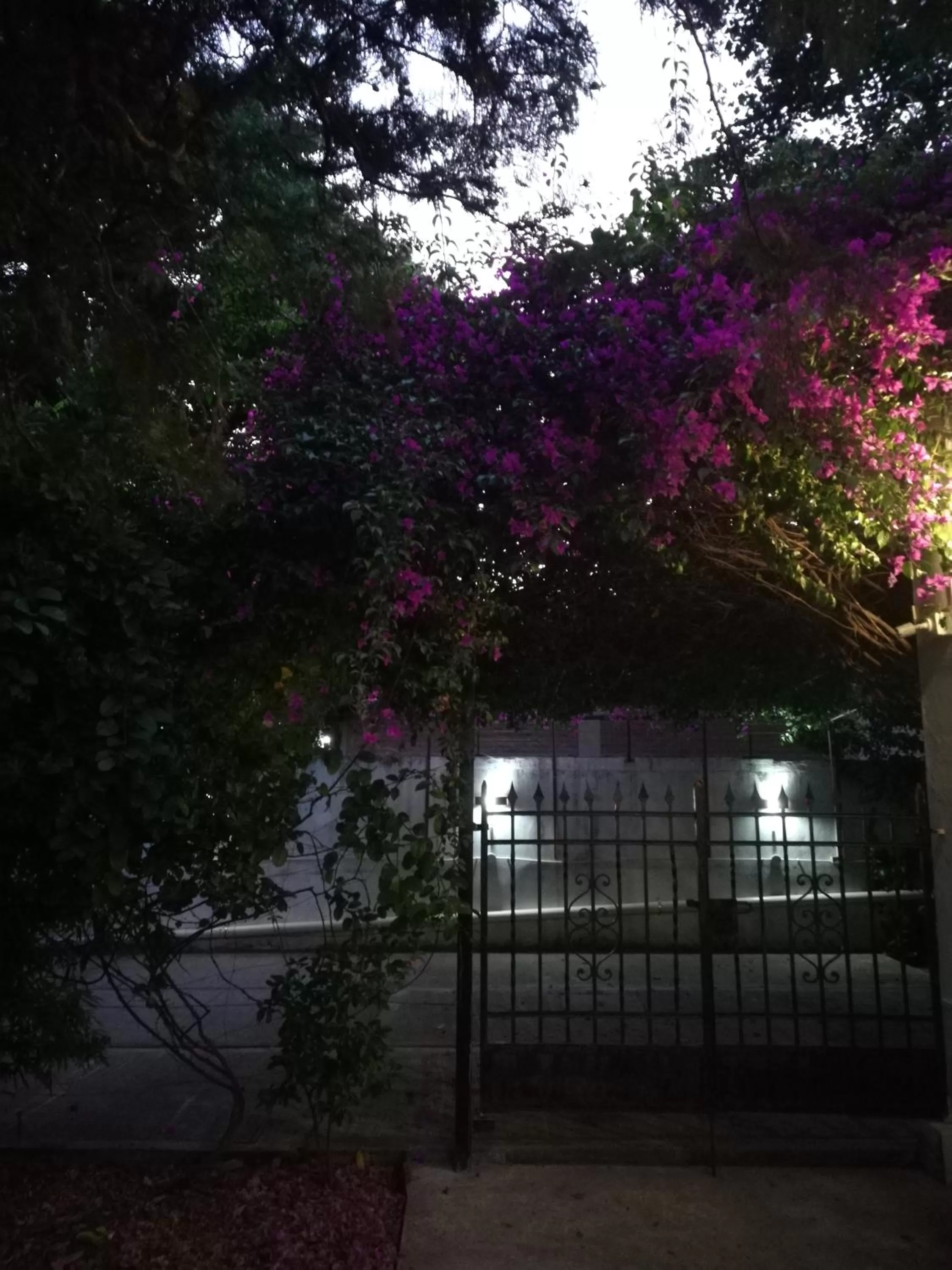 Property Building in Casablanca Boutique Hotel Adrogué