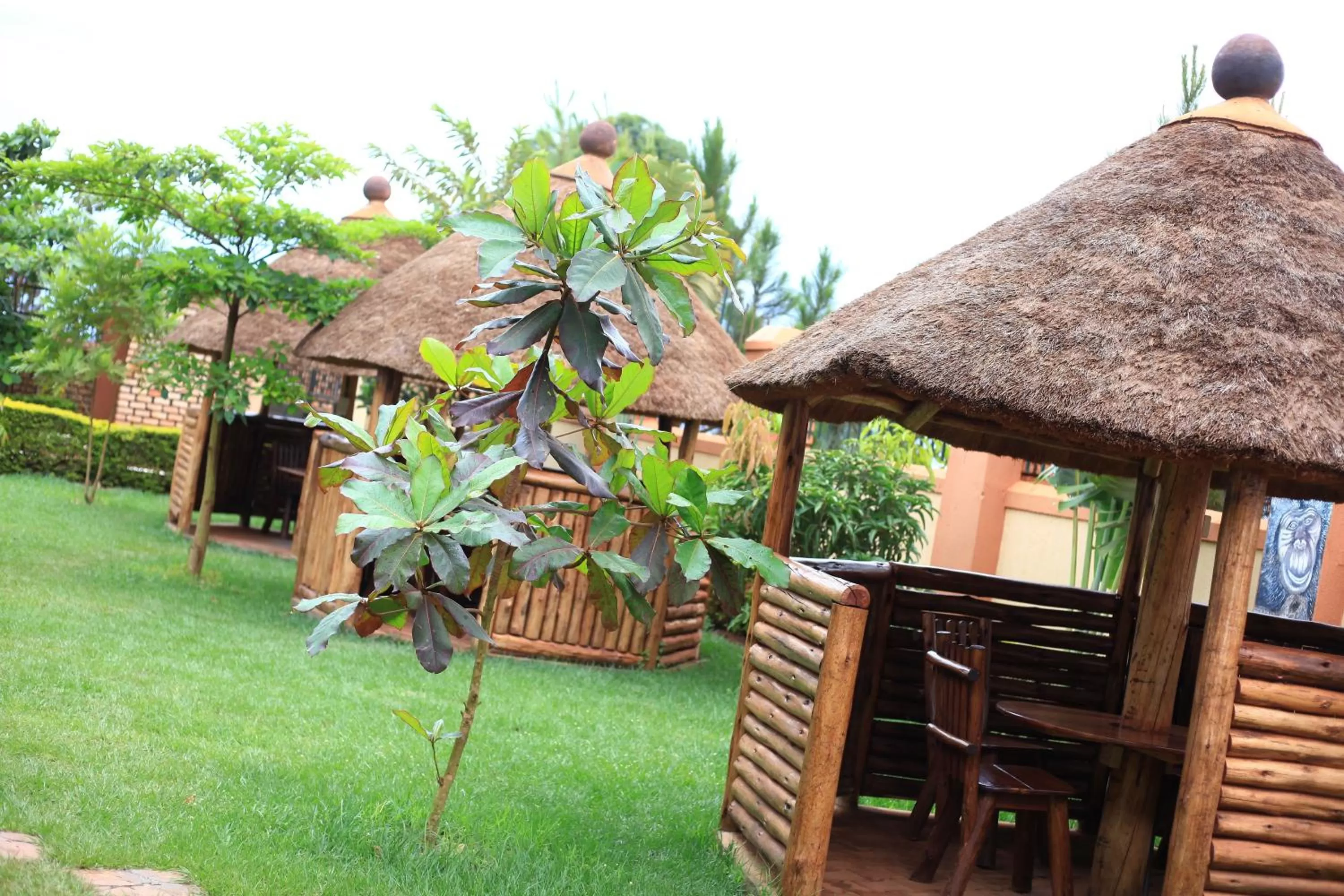 Garden in Elite Backpackers Services