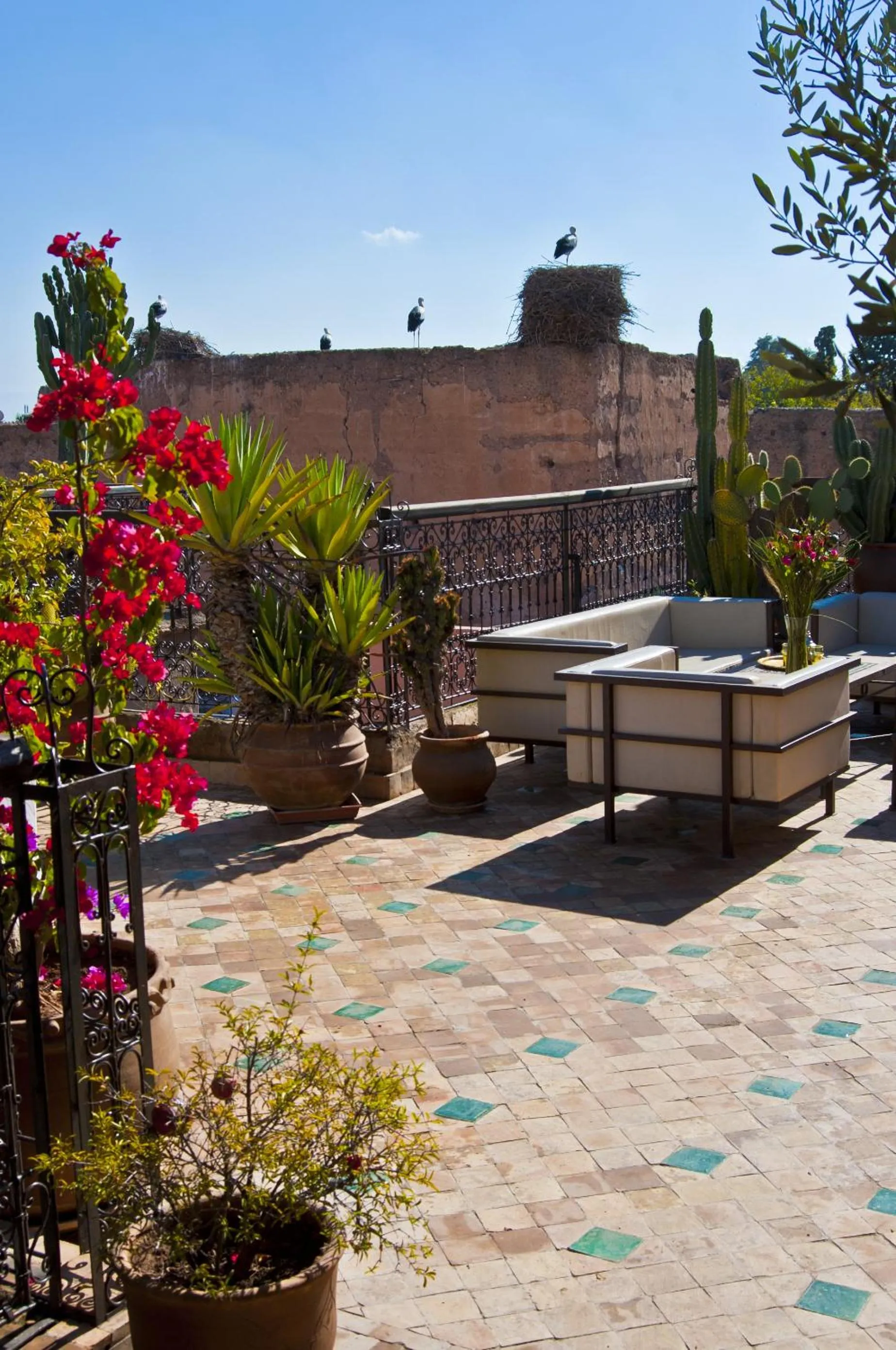 Balcony/Terrace in Riad Aladdin - FERME