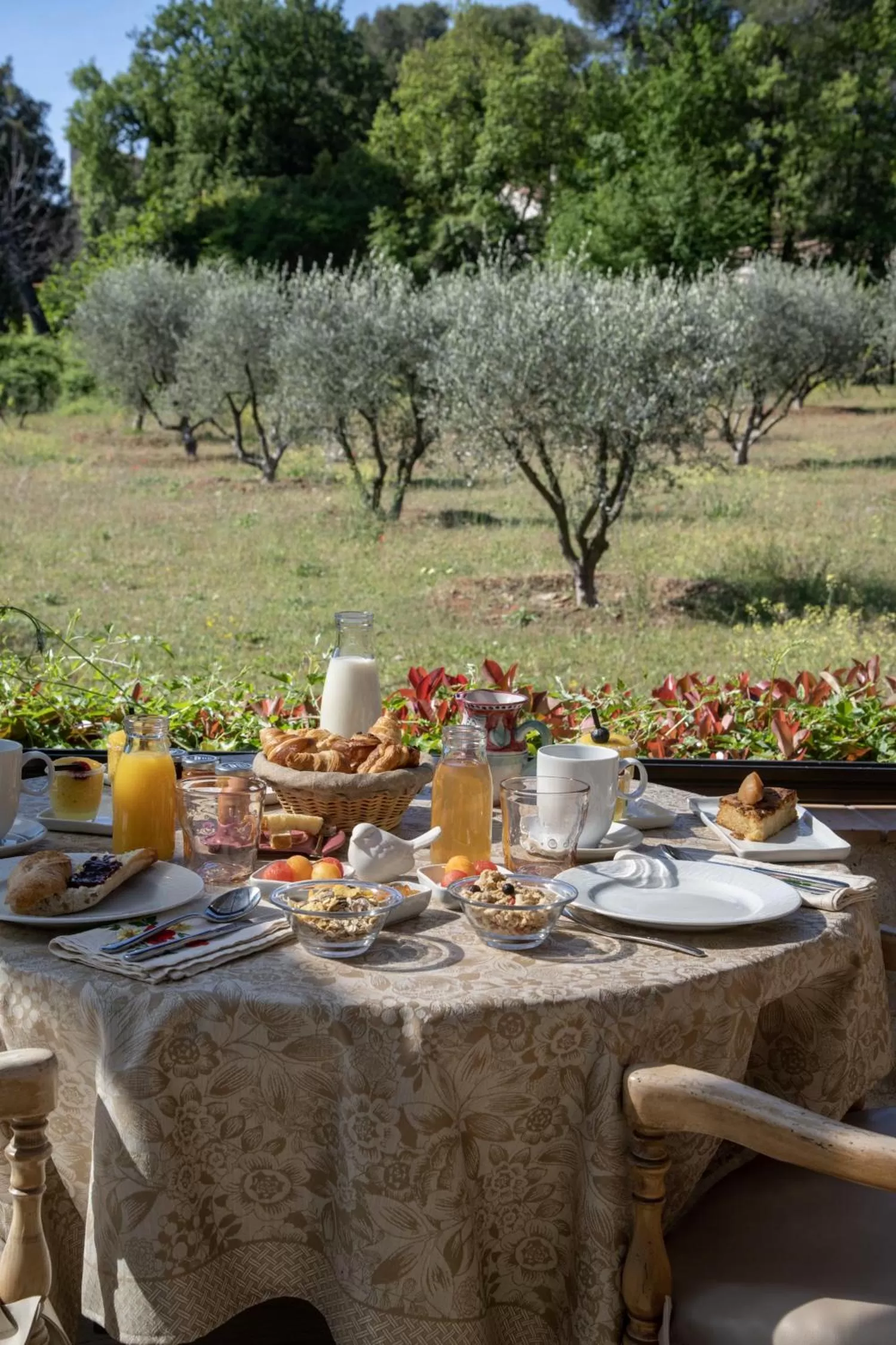Garden in Hotel Les Messugues