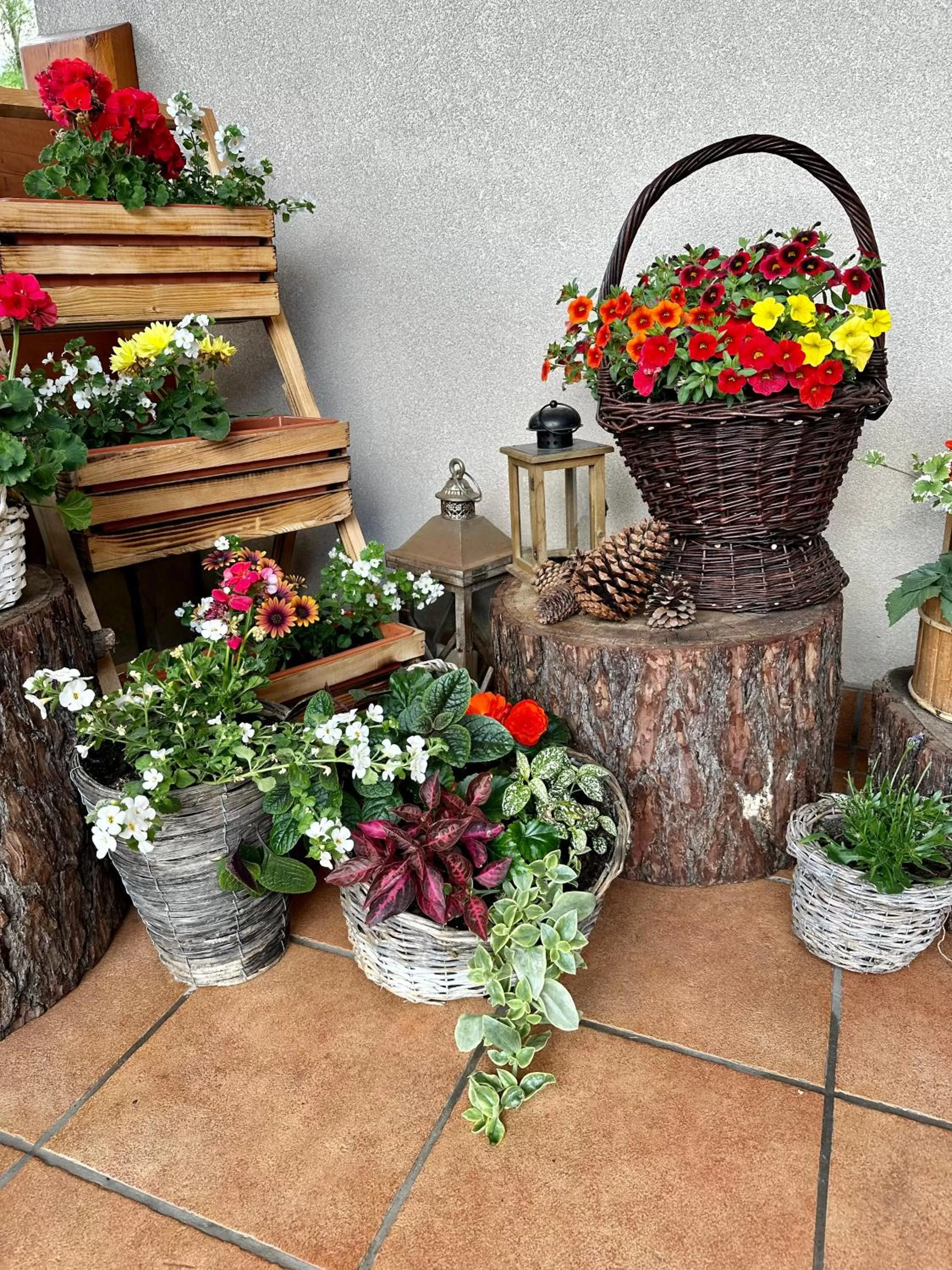 Leśny Dworek Zakopane