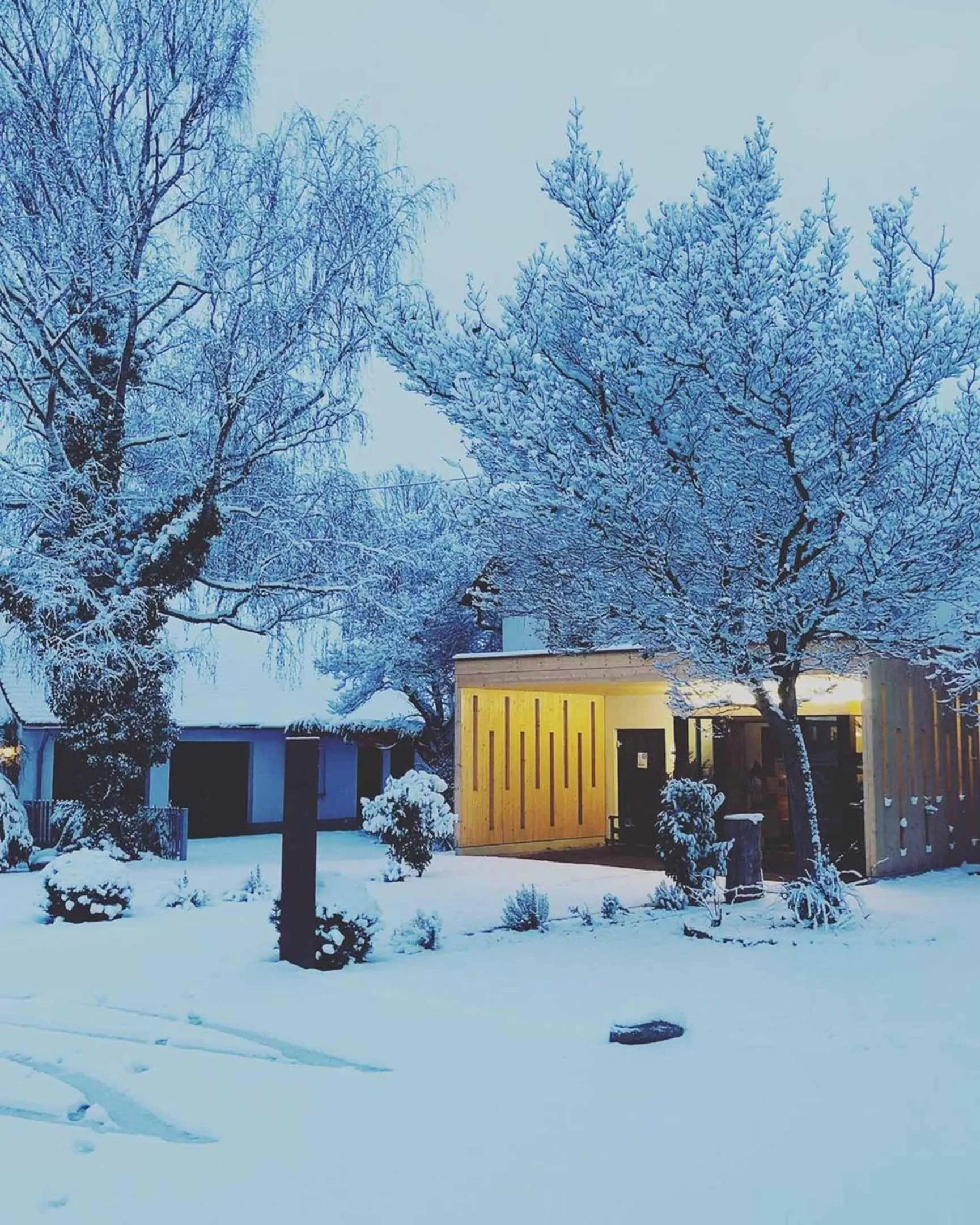 Property building, Winter in Hotel Waldvogel