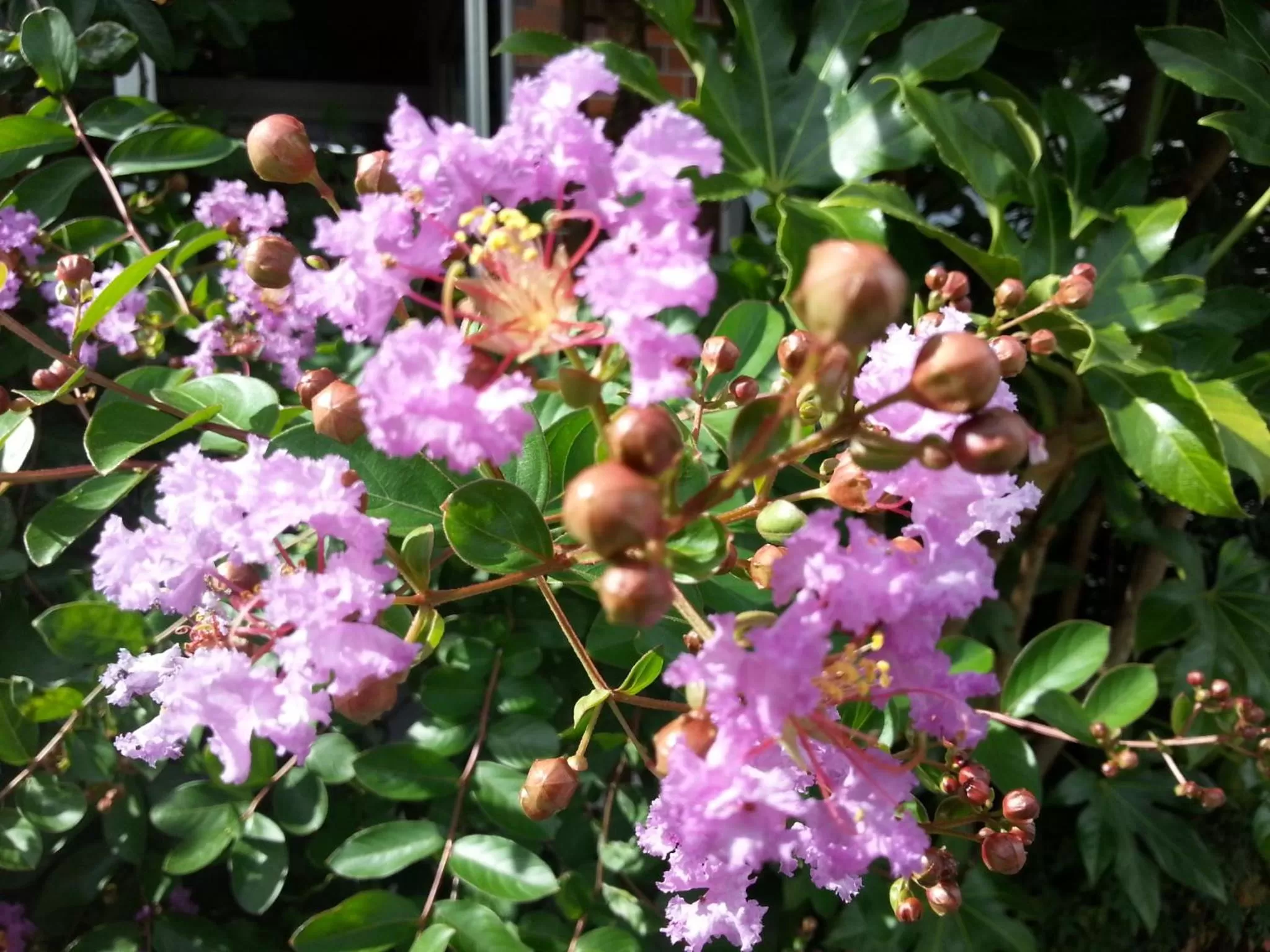 Decorative detail in Fukiya