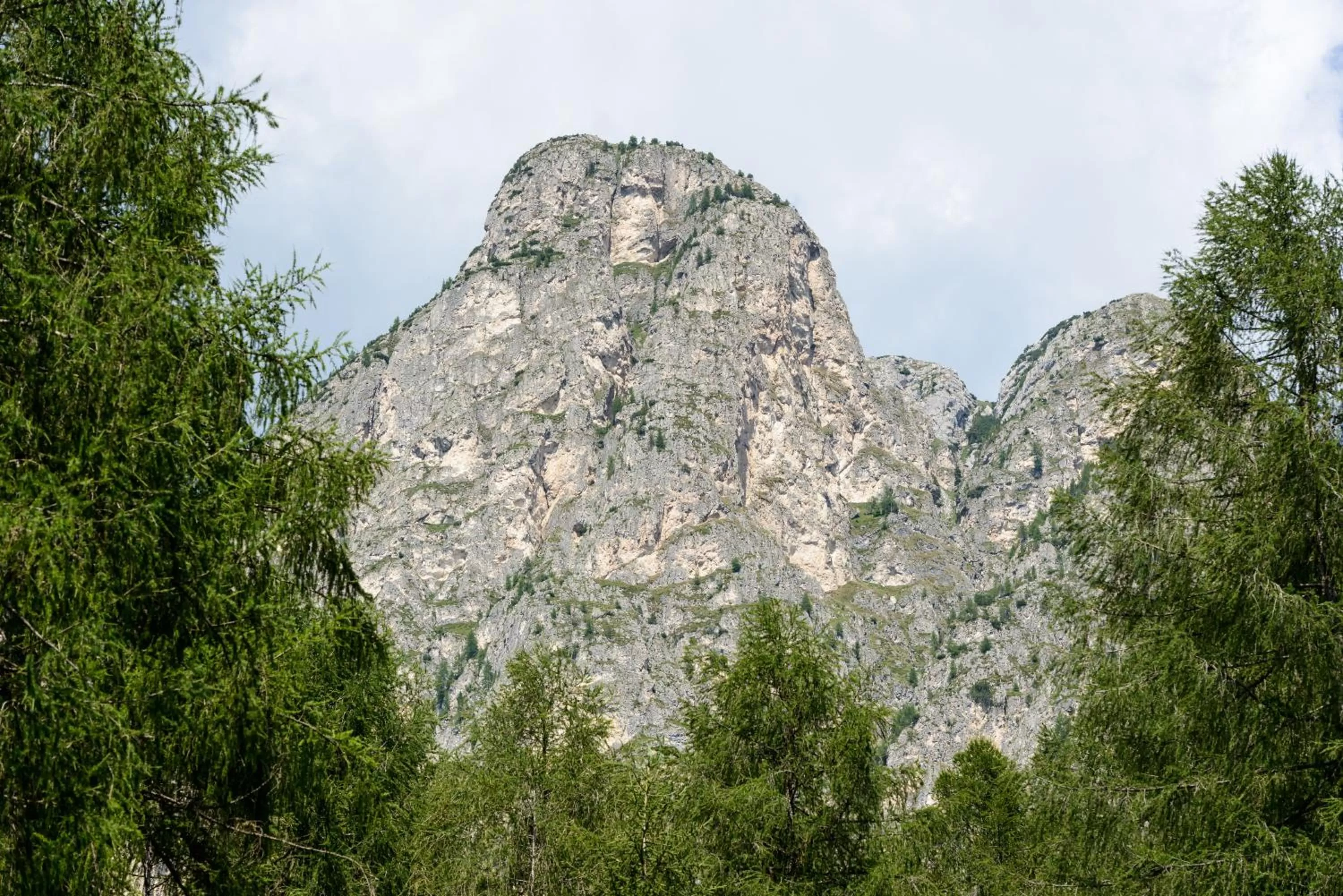 Mountain view in FORESTO holiday apartments