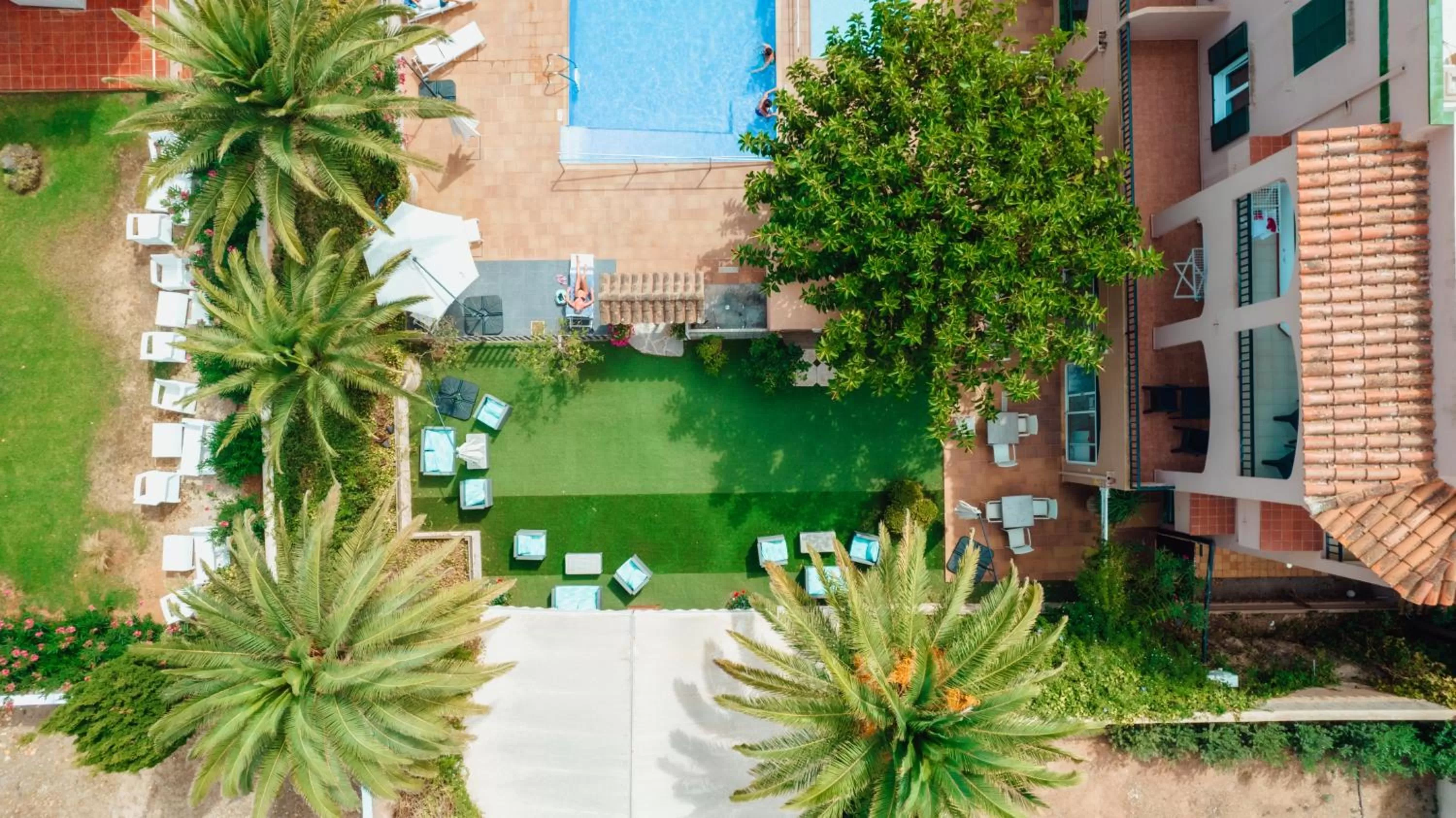 Garden view in Apartamentos Royal Life