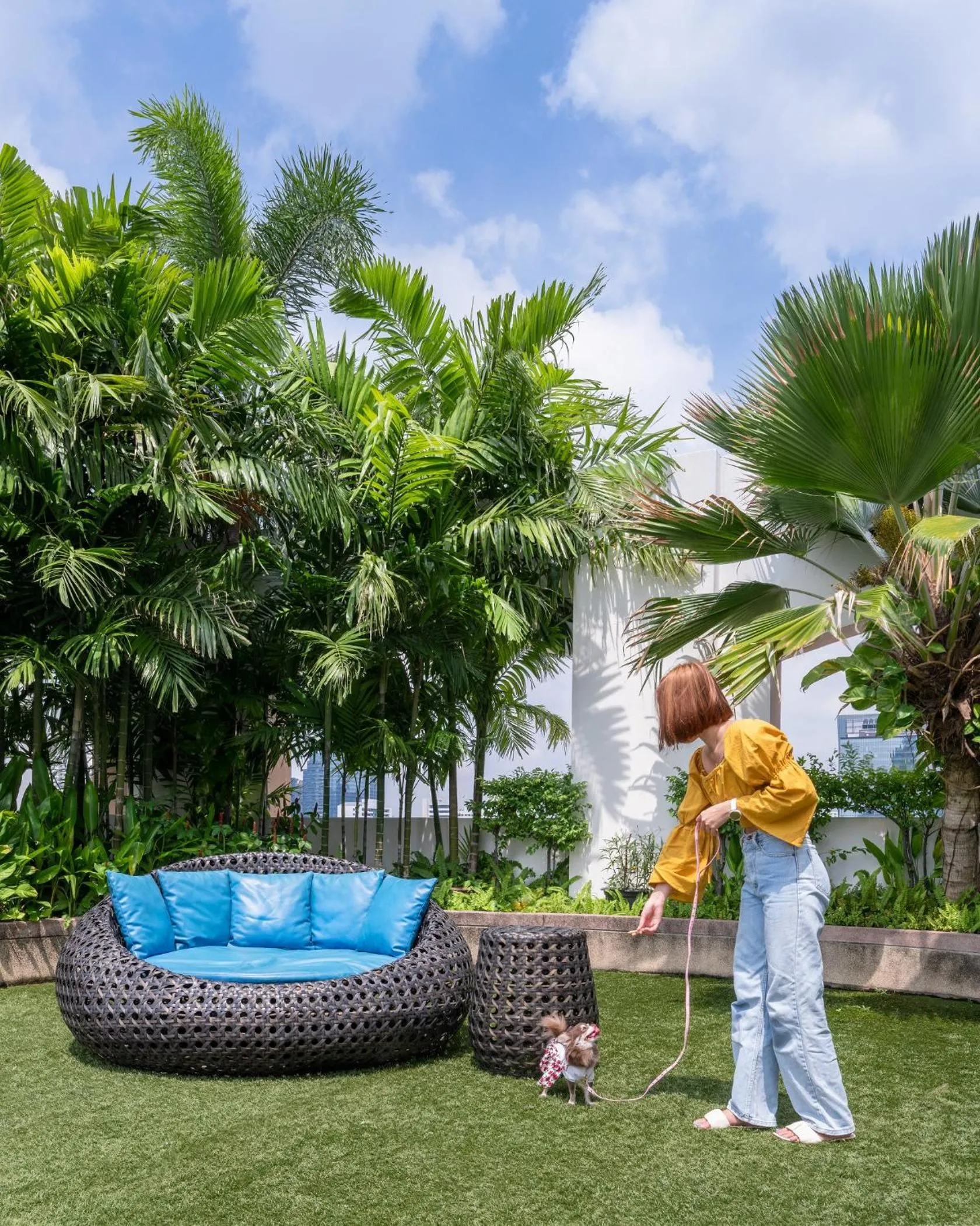 Pets in Grand Mercure Bangkok Asoke Residence