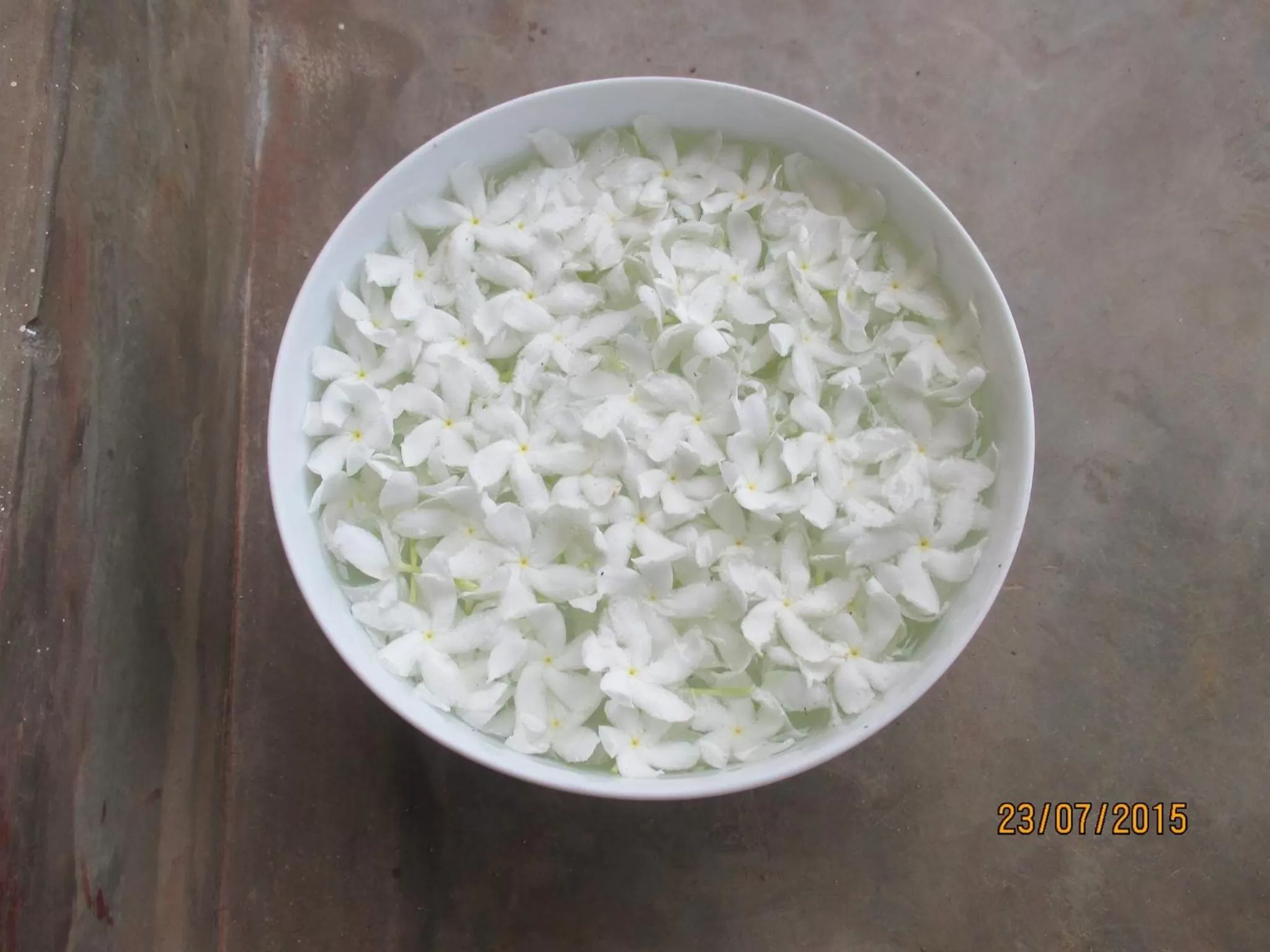 Shiva Rest Katharagama