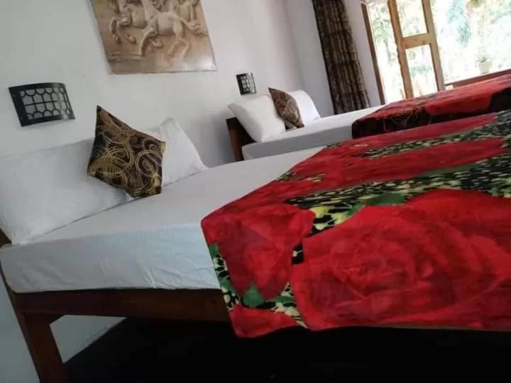 Bed in The Horizon Root Inn