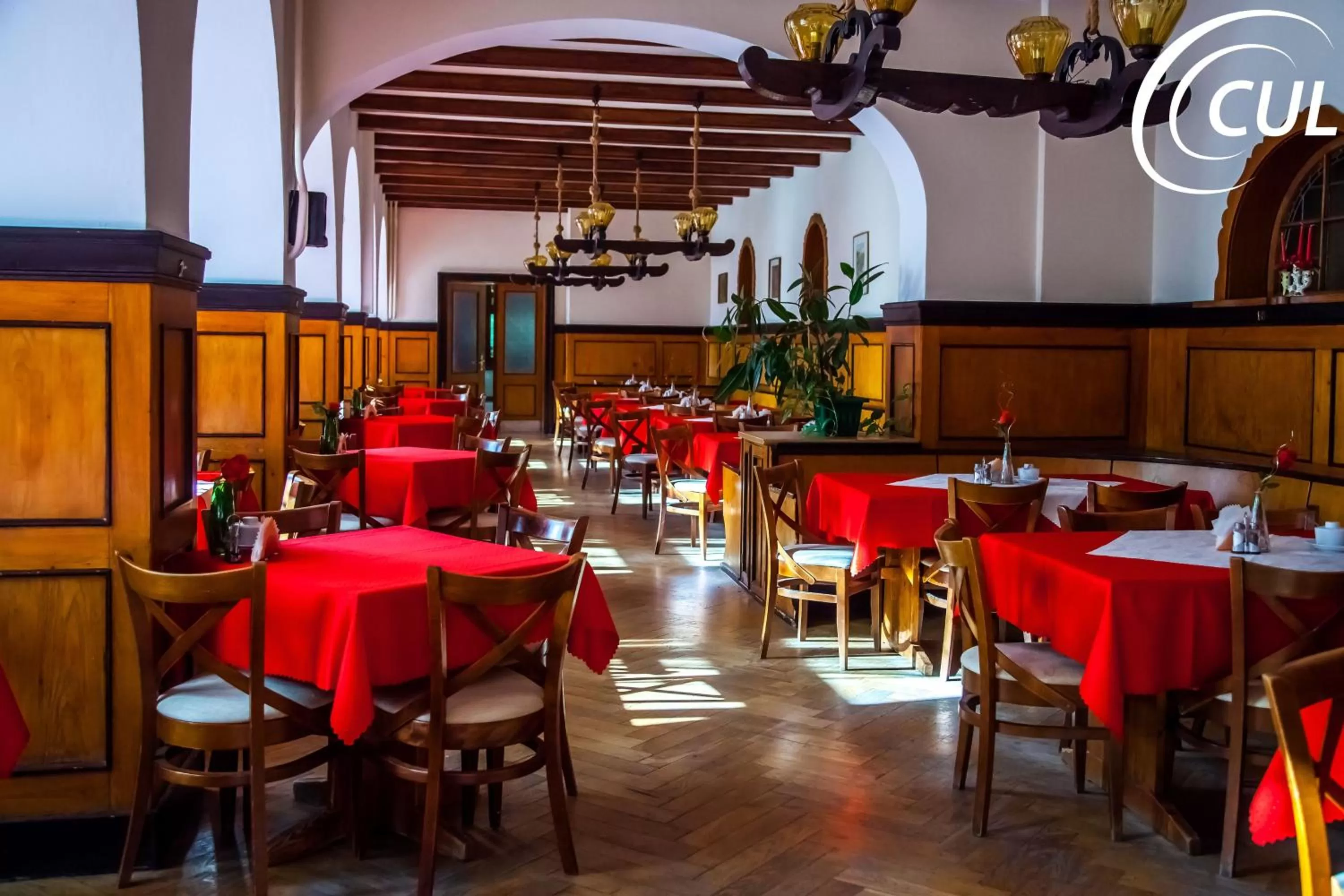 Food and drinks in Ośrodek Wypoczynkowy Rzemieślnik