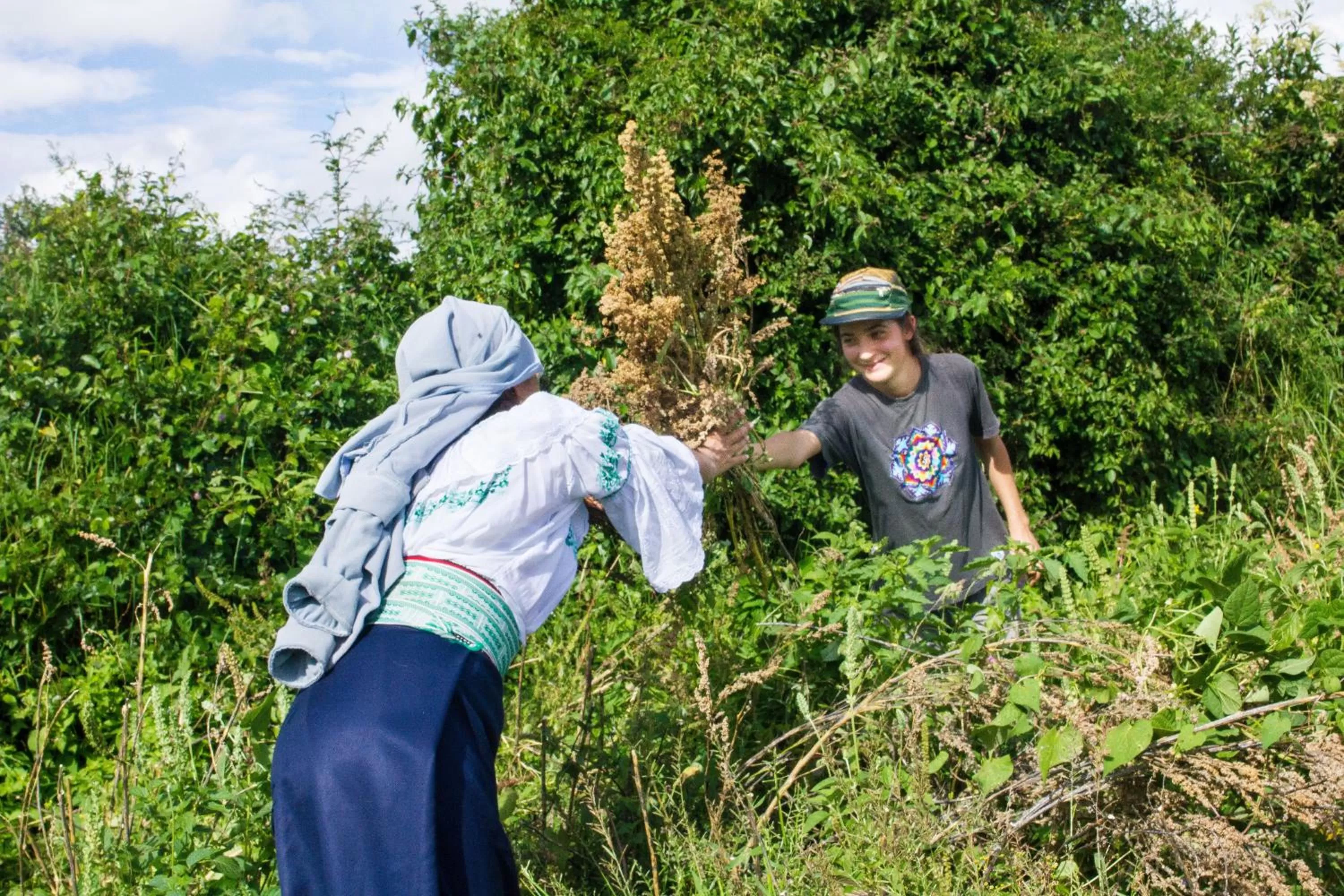 Property building, Staff in Kallpa Wasi