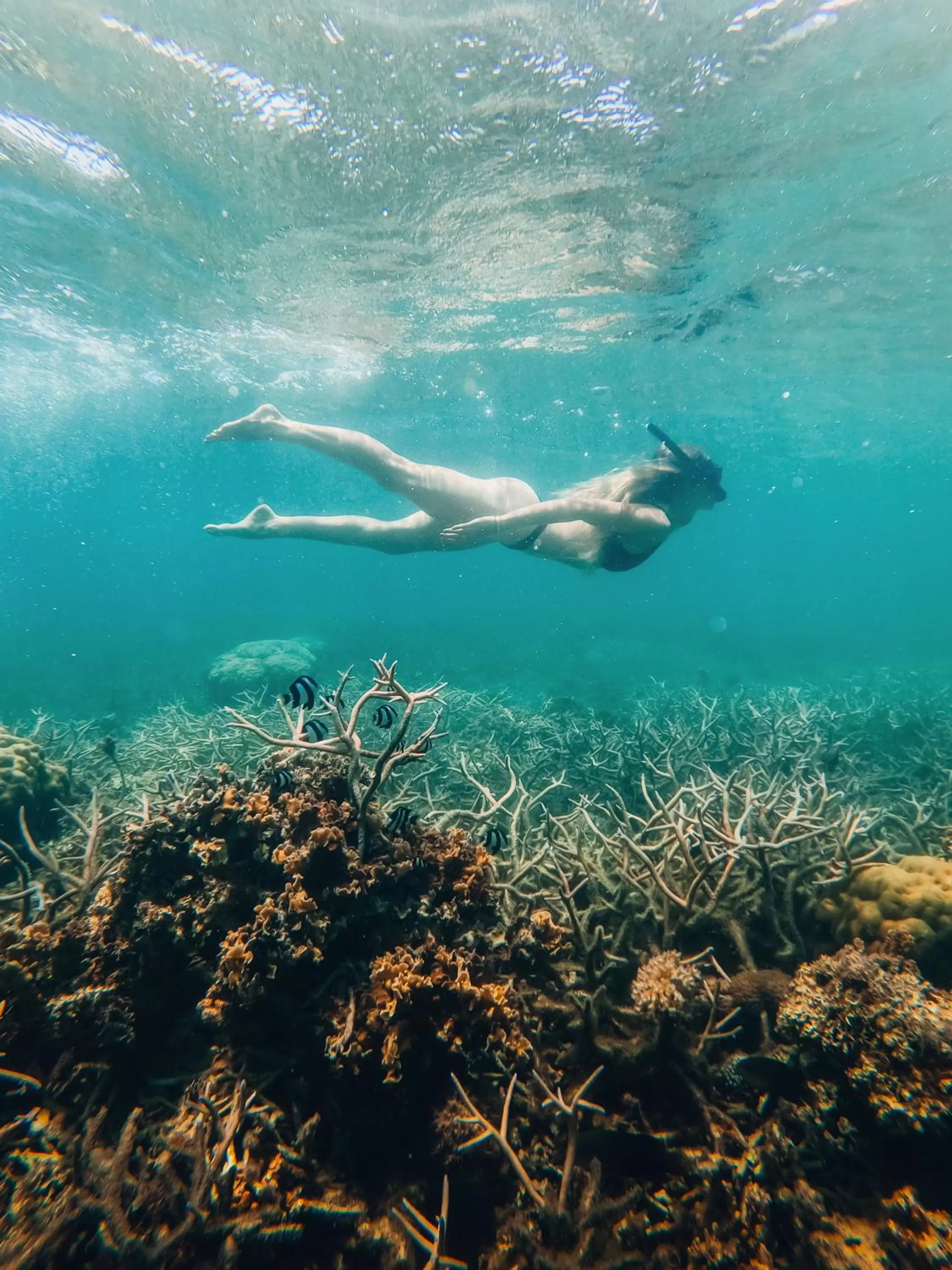 Activities in Preskil Island Resort