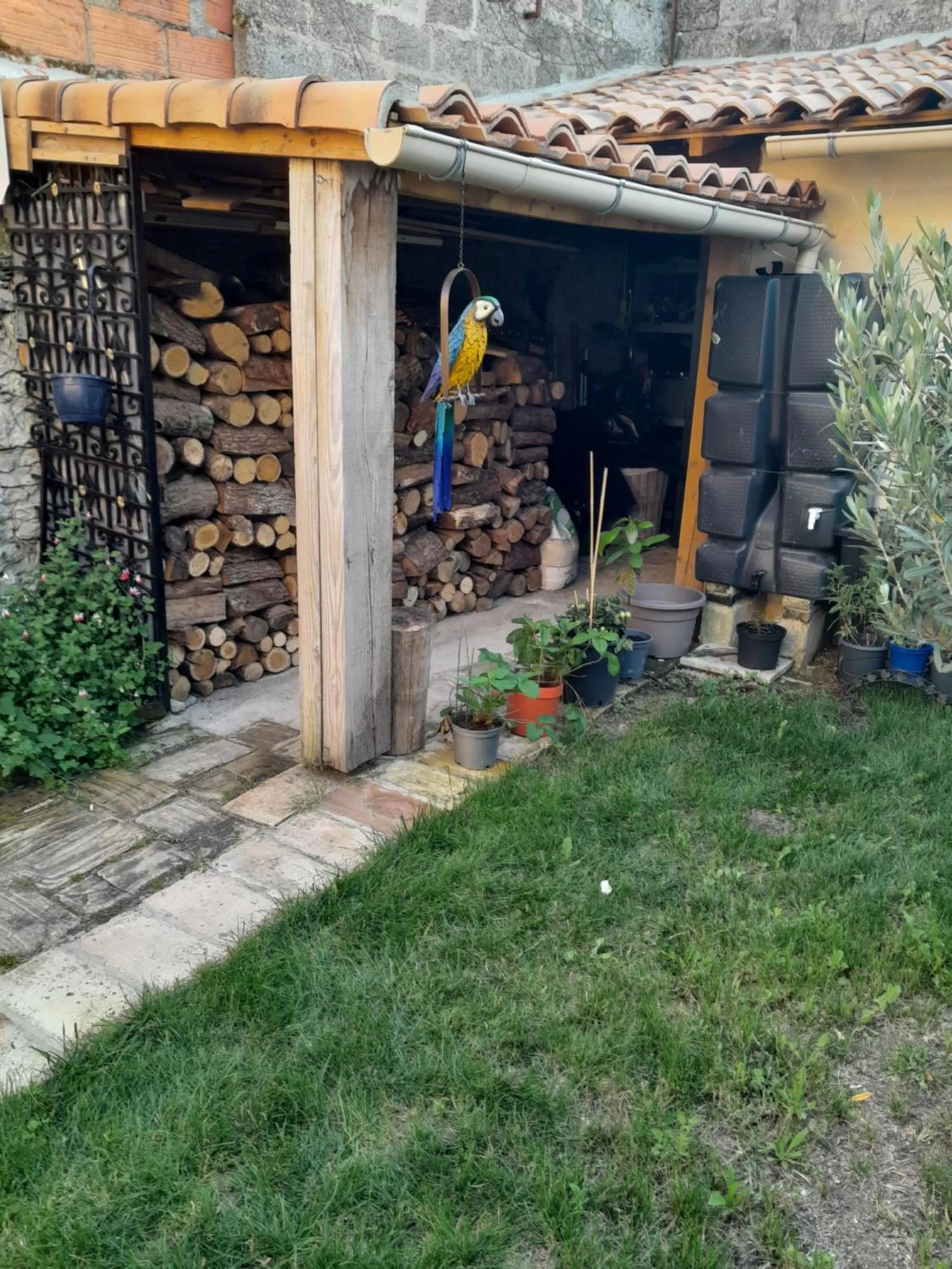 Garden in Le Perroquet Vert