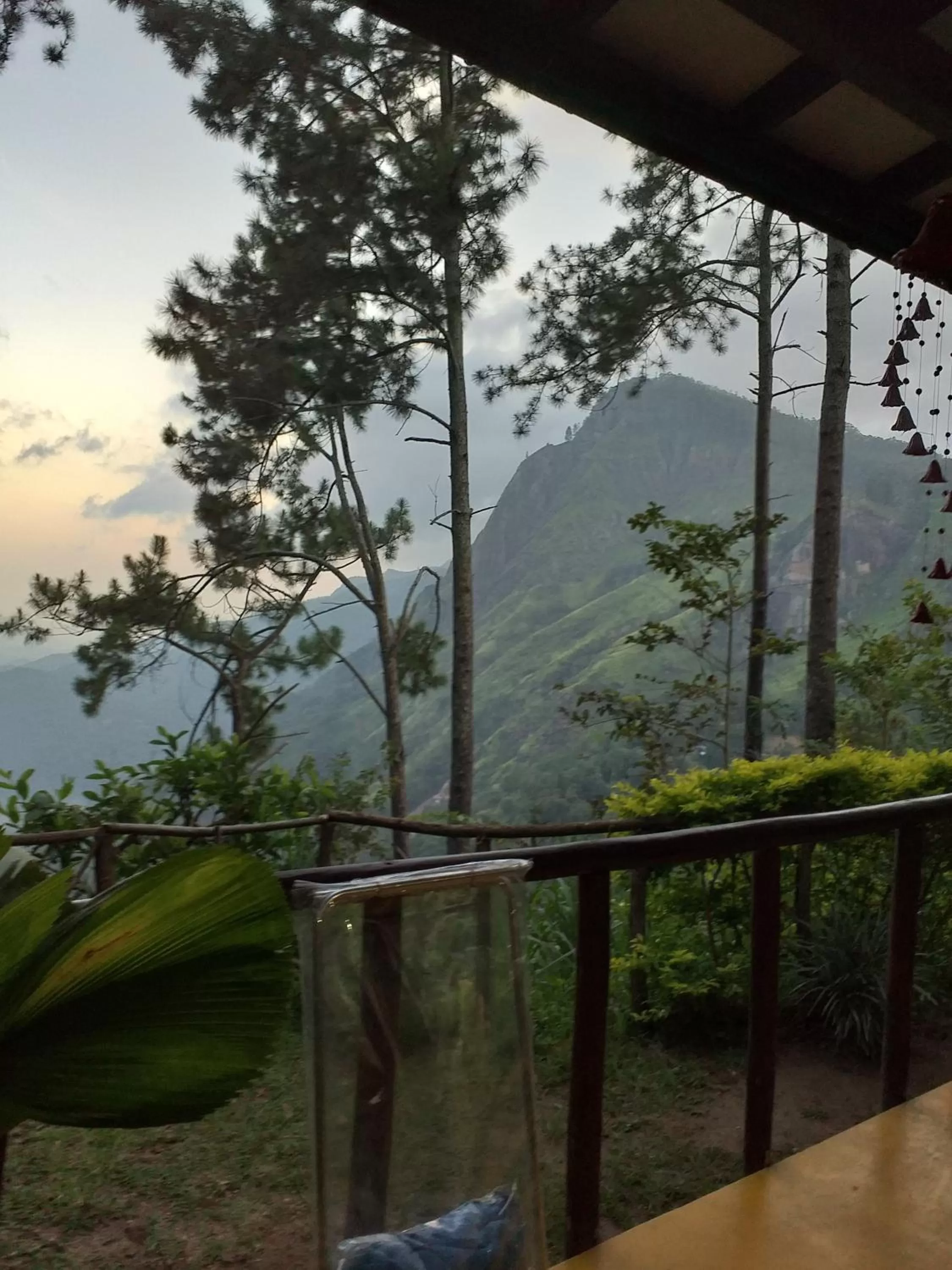 Mountain View in Dream view