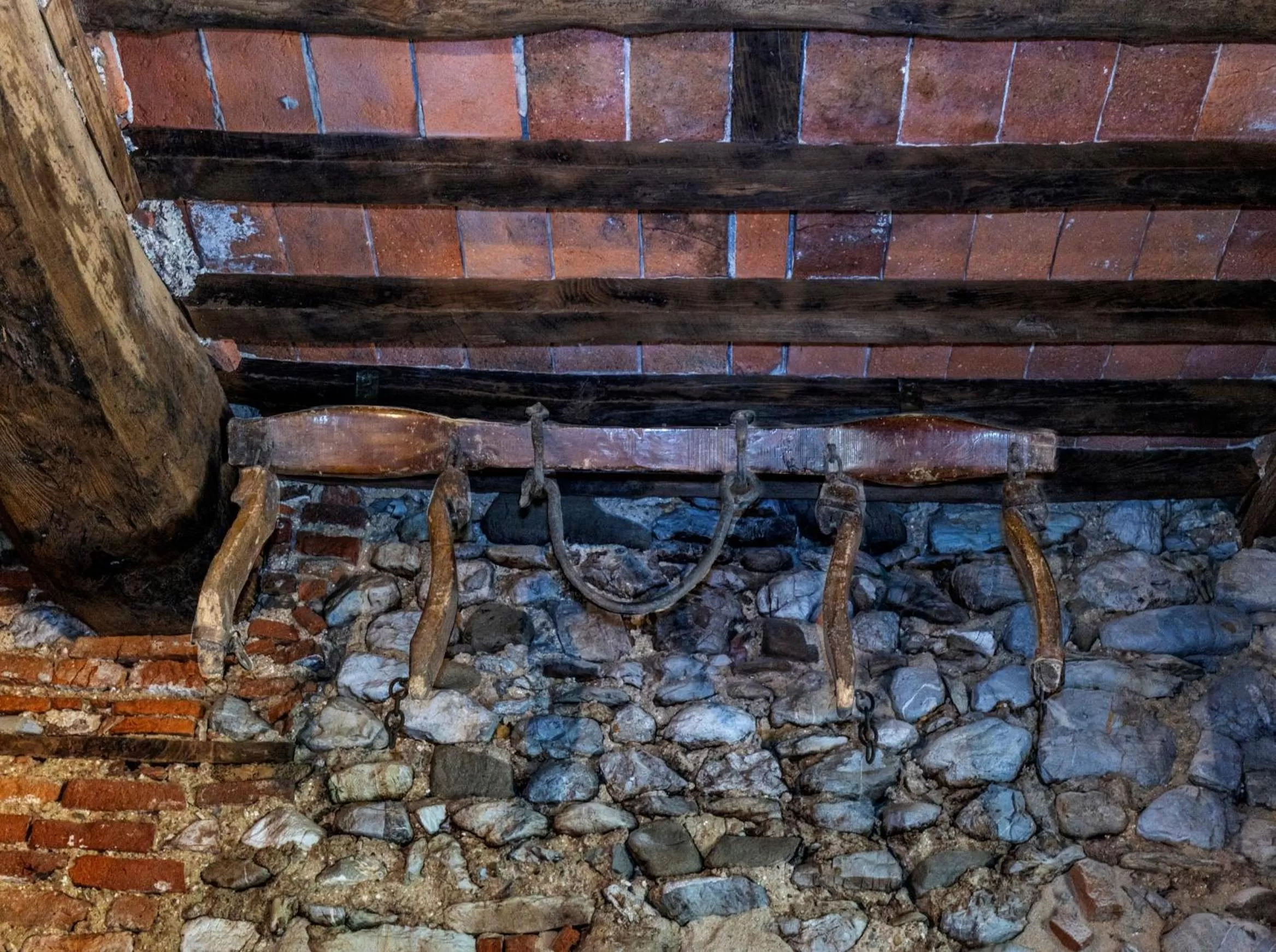 Frantoio Del Moscatello