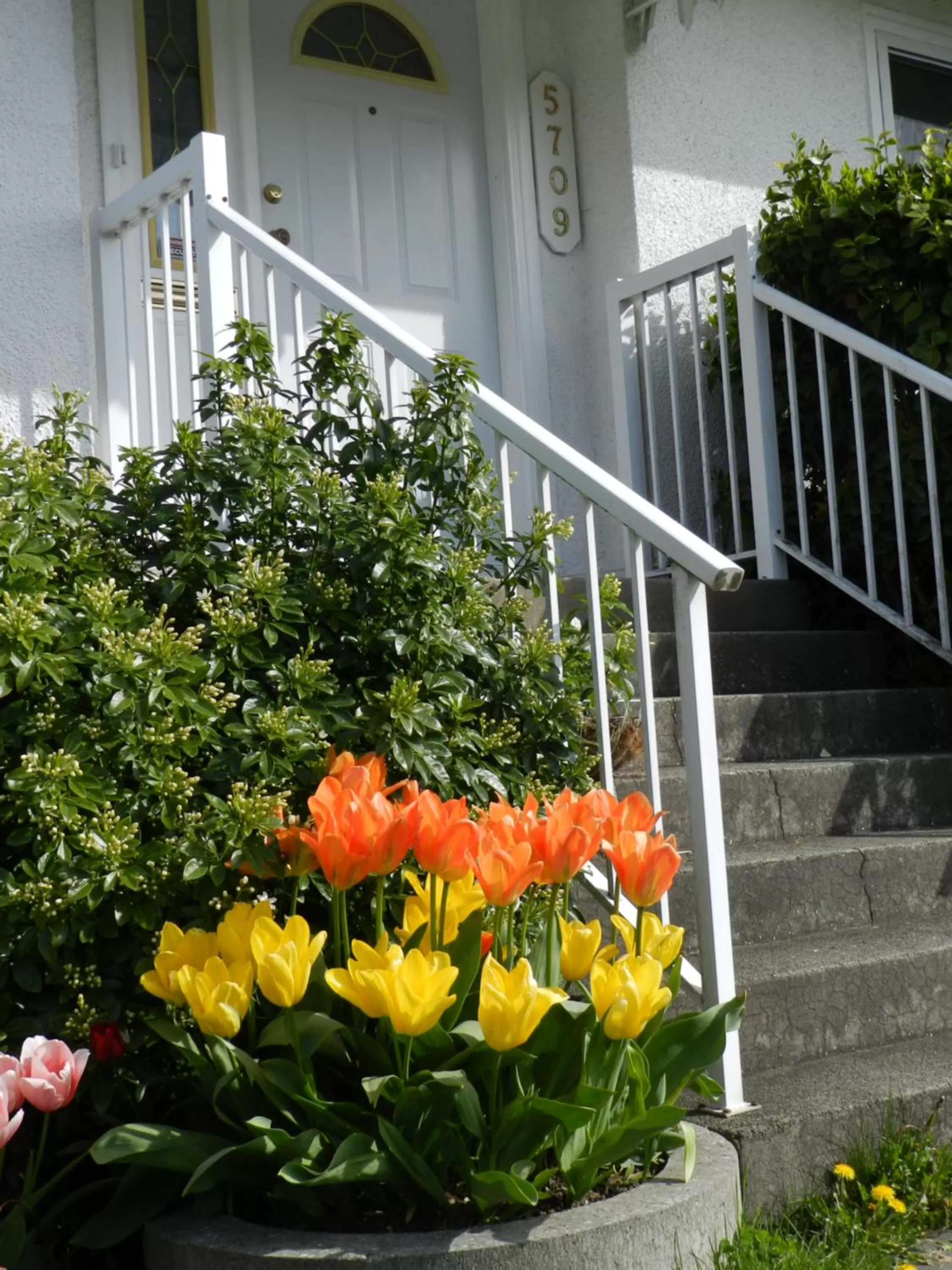 Facade/entrance in Serenity