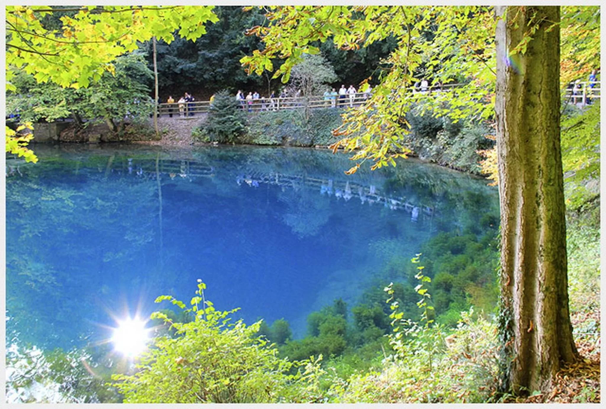 Area and facilities in Hotel-Restaurant Ochsen