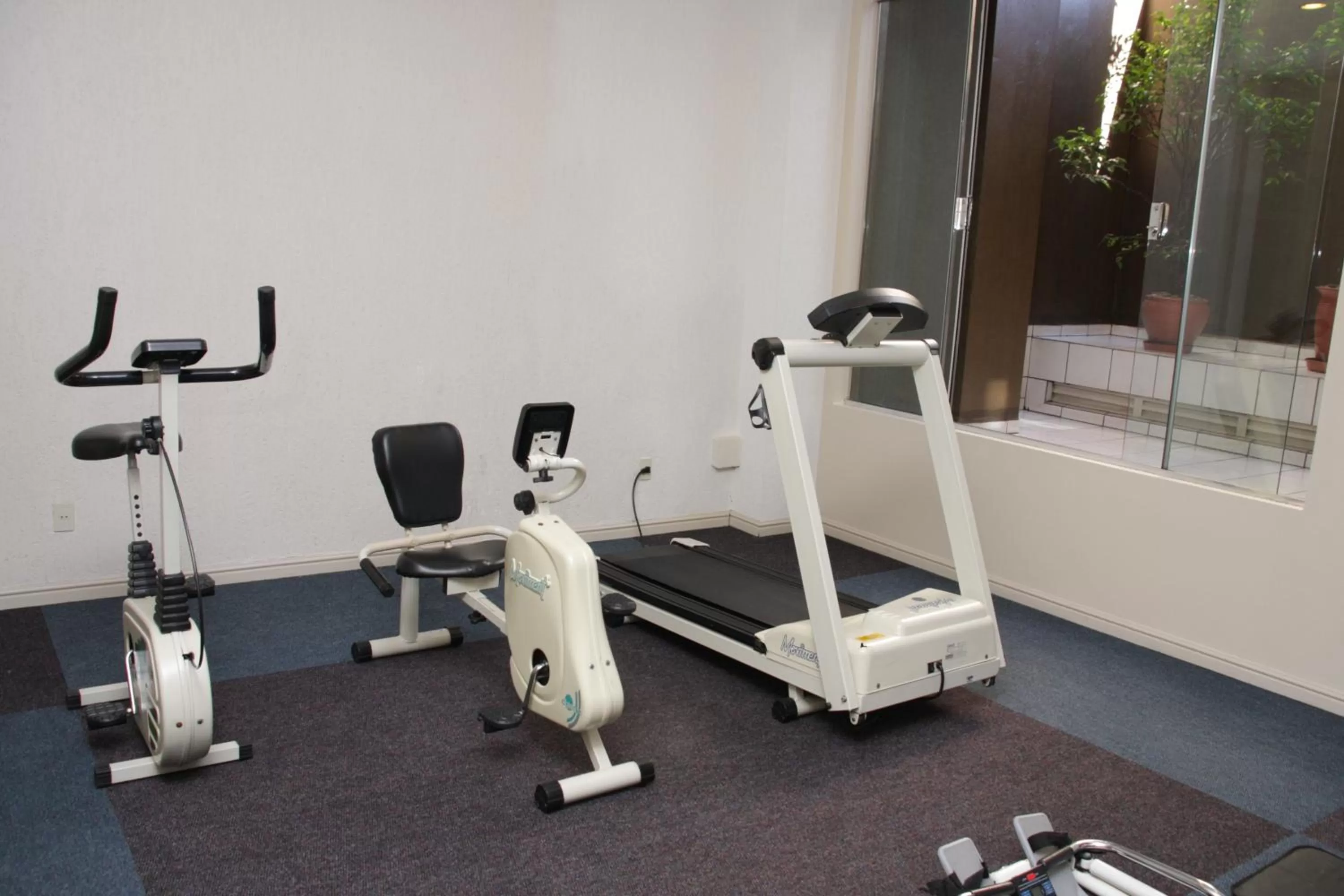 Fitness centre/facilities, Fitness Center/Facilities in Kuster Hotel
