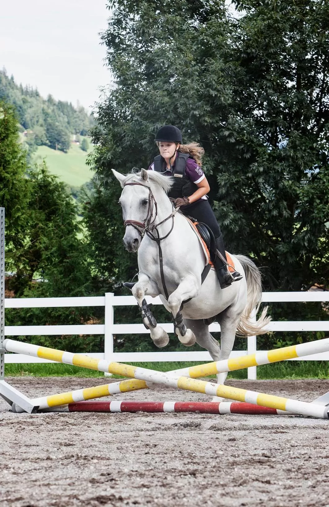 Day in Hotel Der Wastlhof - direkt an der Skipiste Wellness & Spa