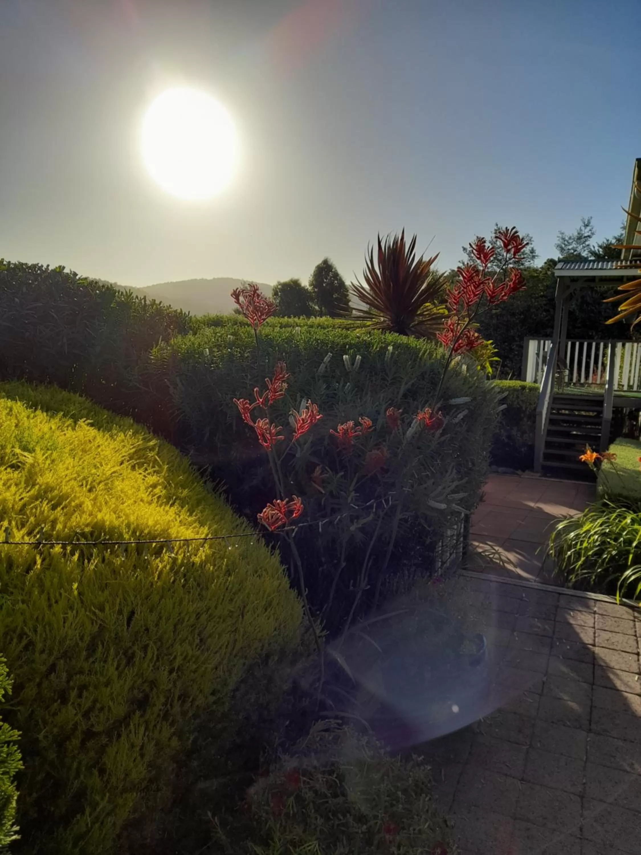 Hillside Bed and Breakfast