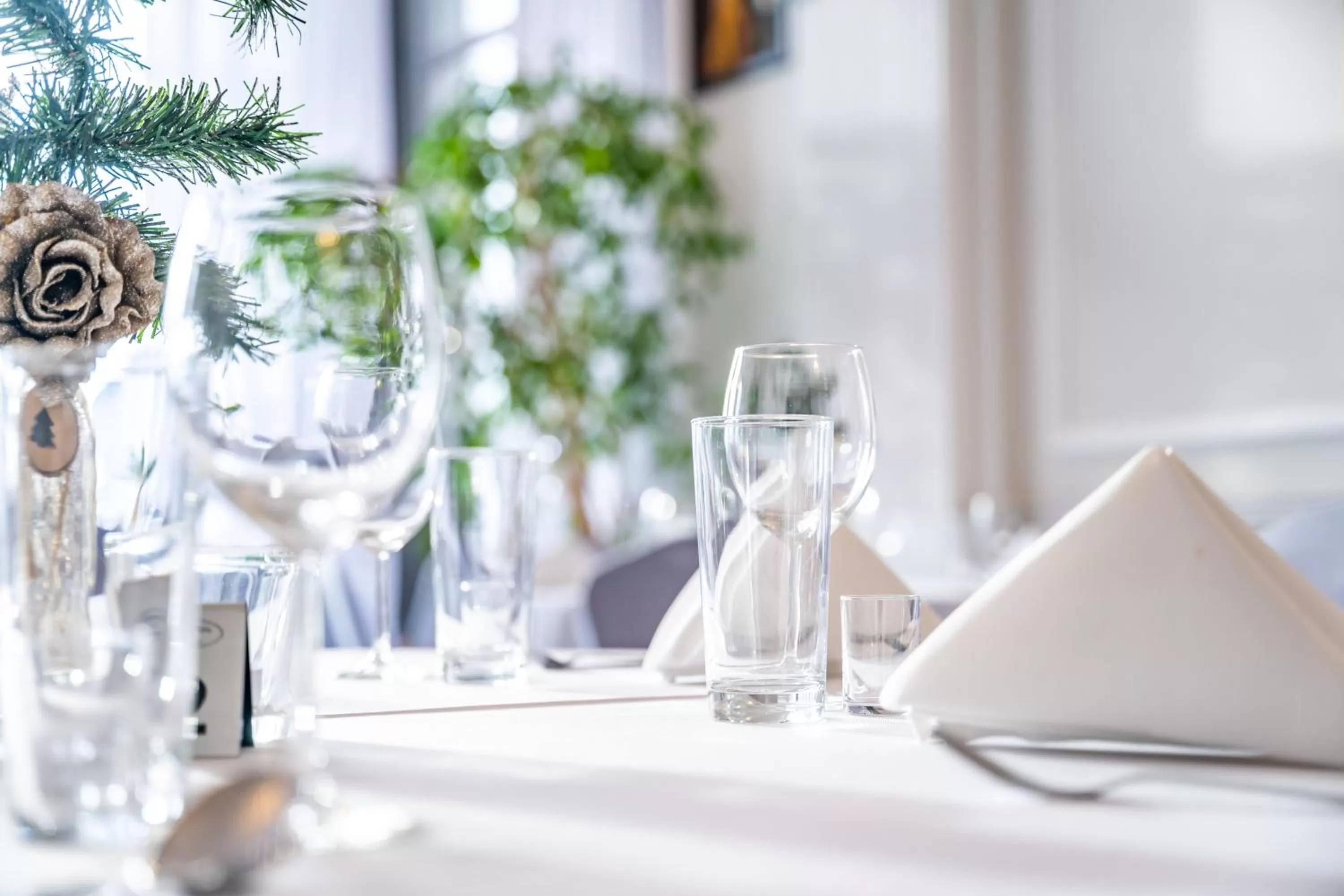 Restaurant/places to eat in Hotel Solar Palace SPA & Wellness