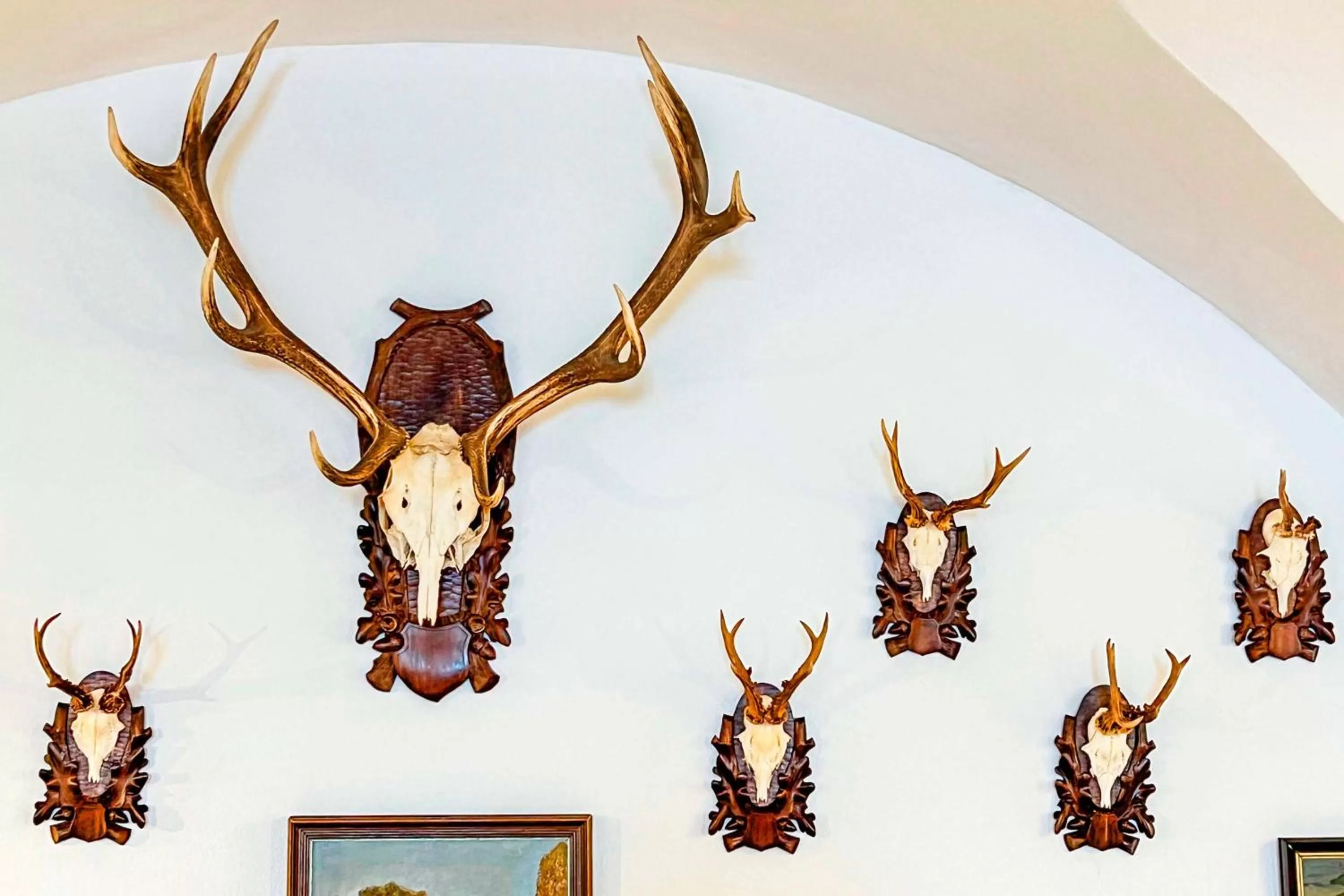 Vila Lovců králových