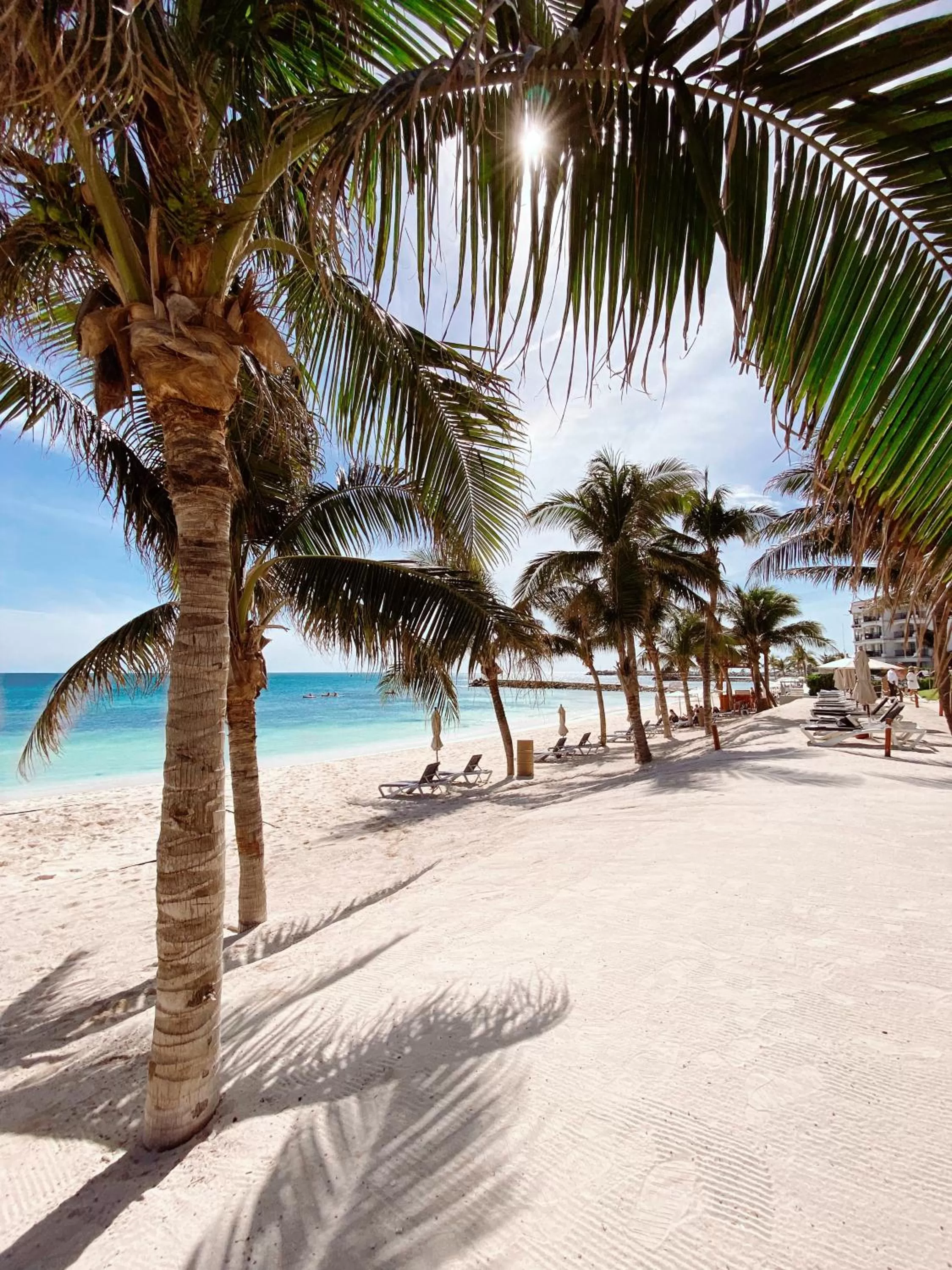 Ventus at Marina El Cid Spa & Beach Resort - All Inclusive