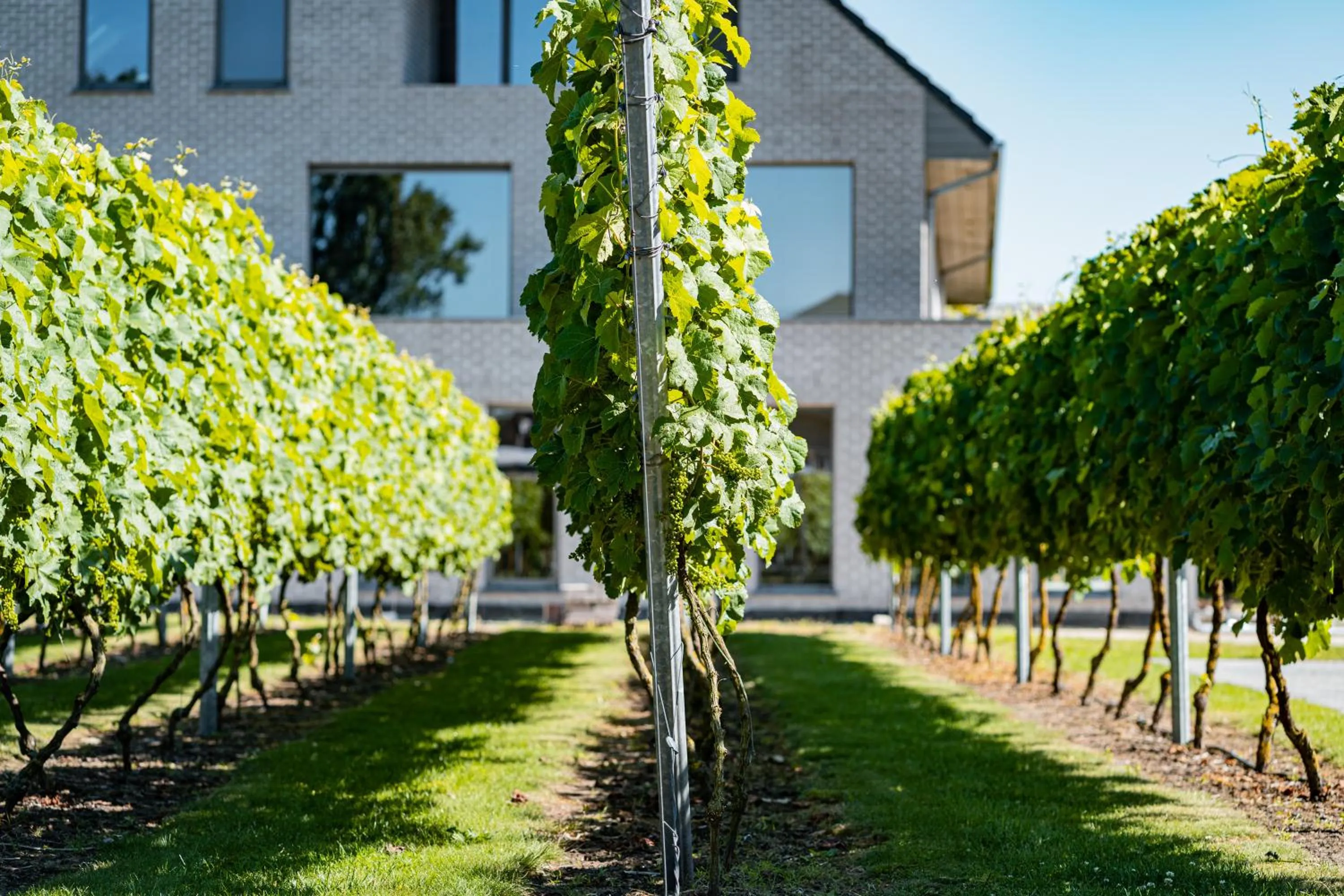 Garden in B&B Abalona