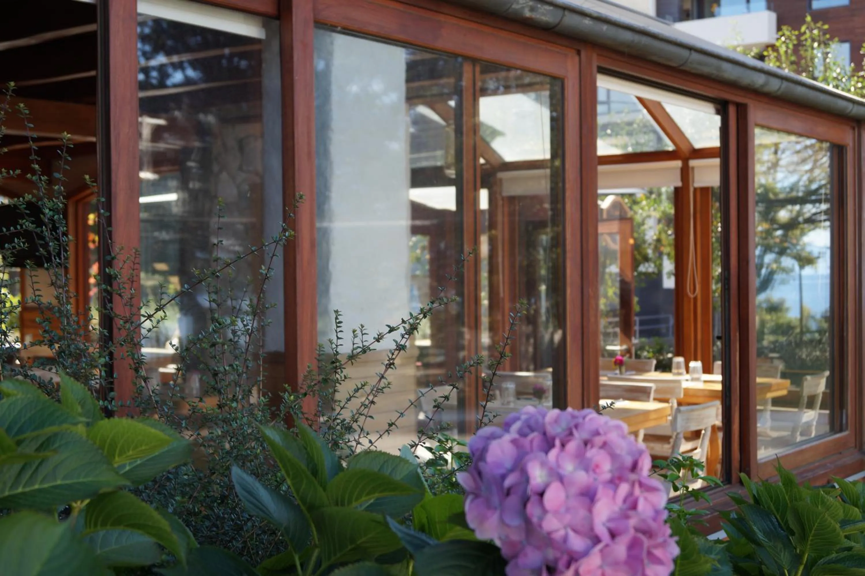 Garden in Hotel Puelche