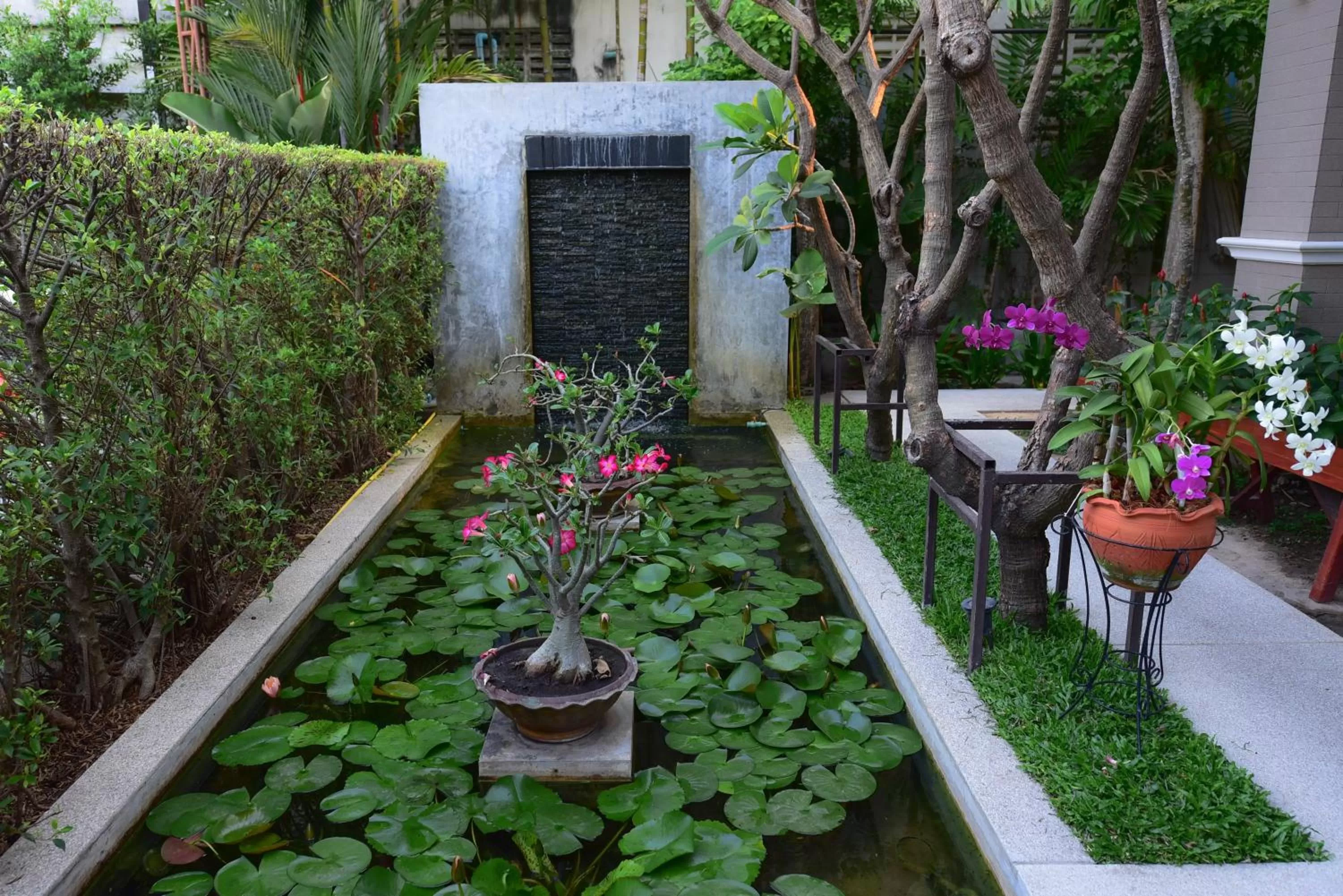 Natural landscape in Rapeepan Ville Hotel