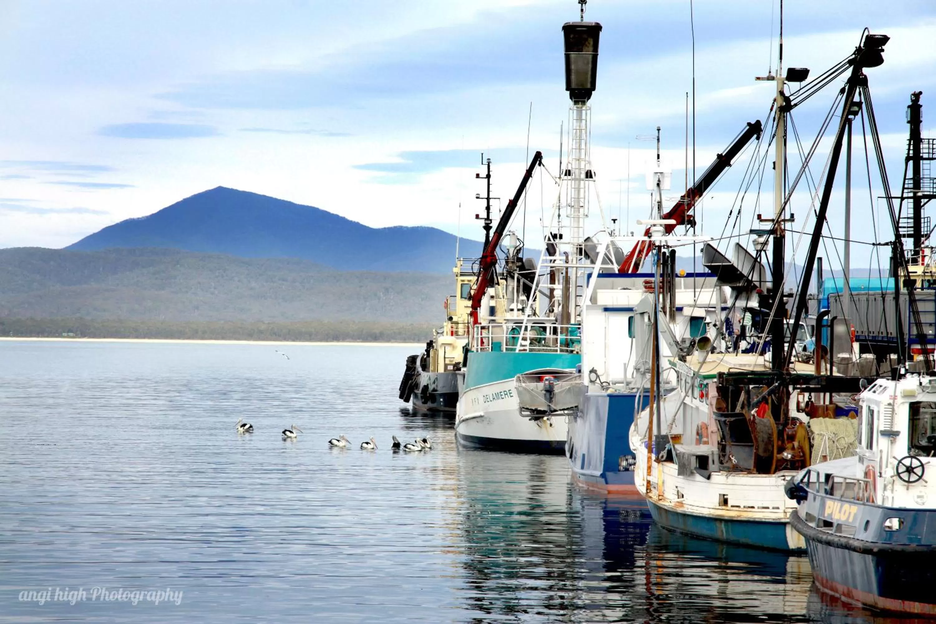 Day in Twofold Bay Motor Inn