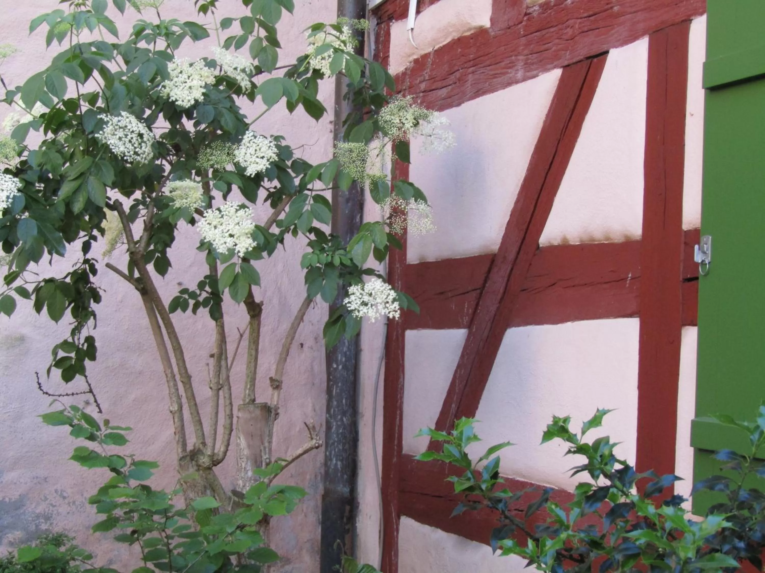 Garden in Hotel und Gasthof Ritter St. Georg