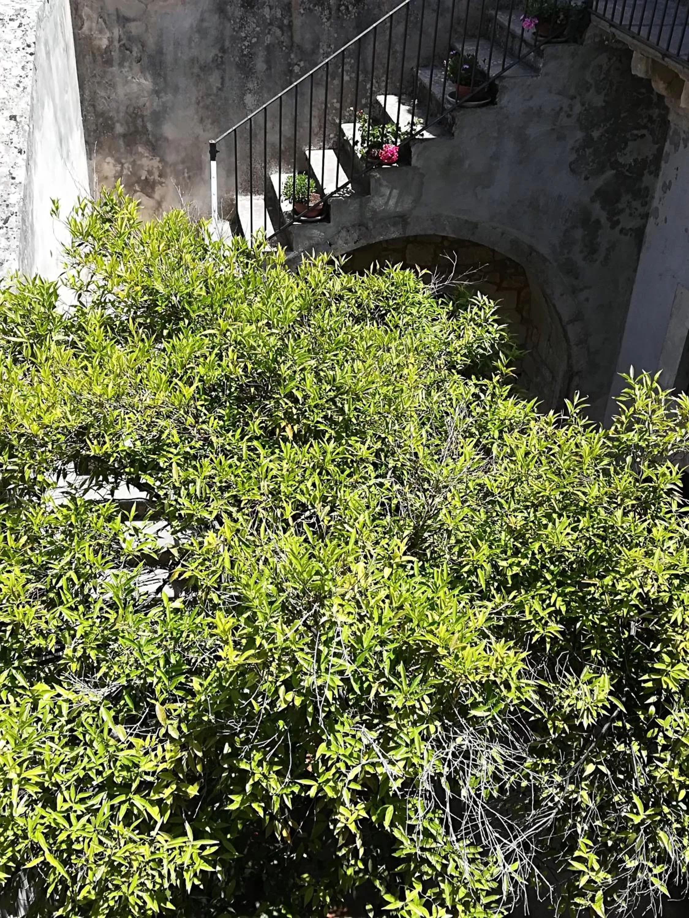 Double Room with Garden View - single occupancy in Residenza Donnafugata B&B