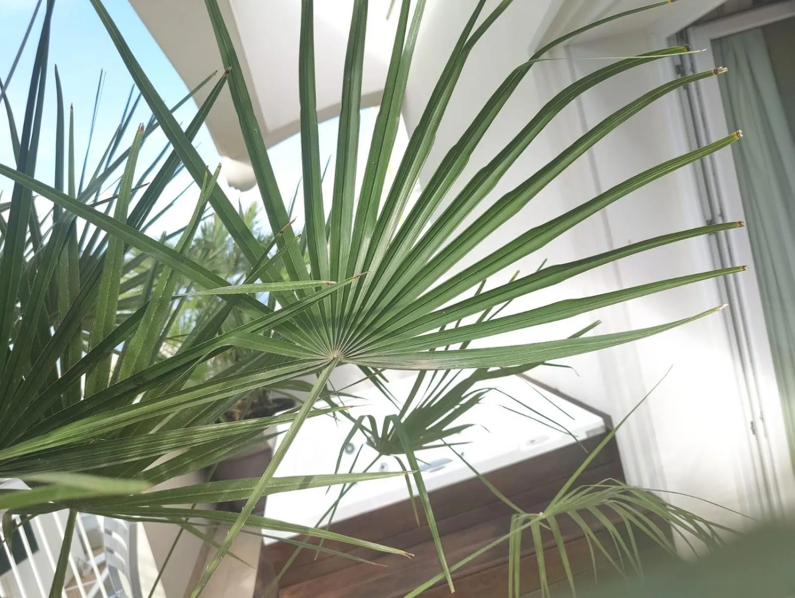 Property building in Hotel Ambassador