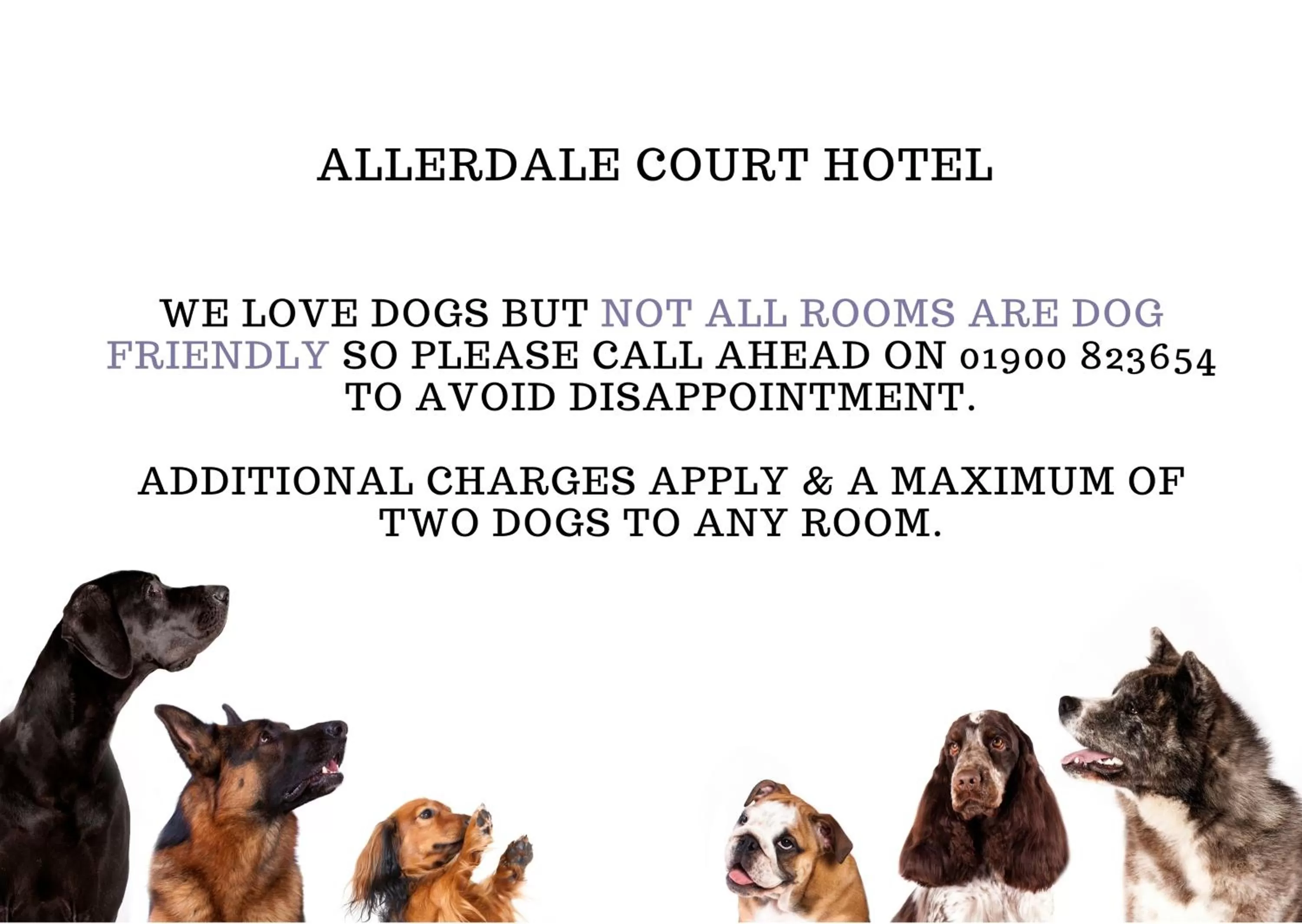 Pets in Allerdale Court Hotel