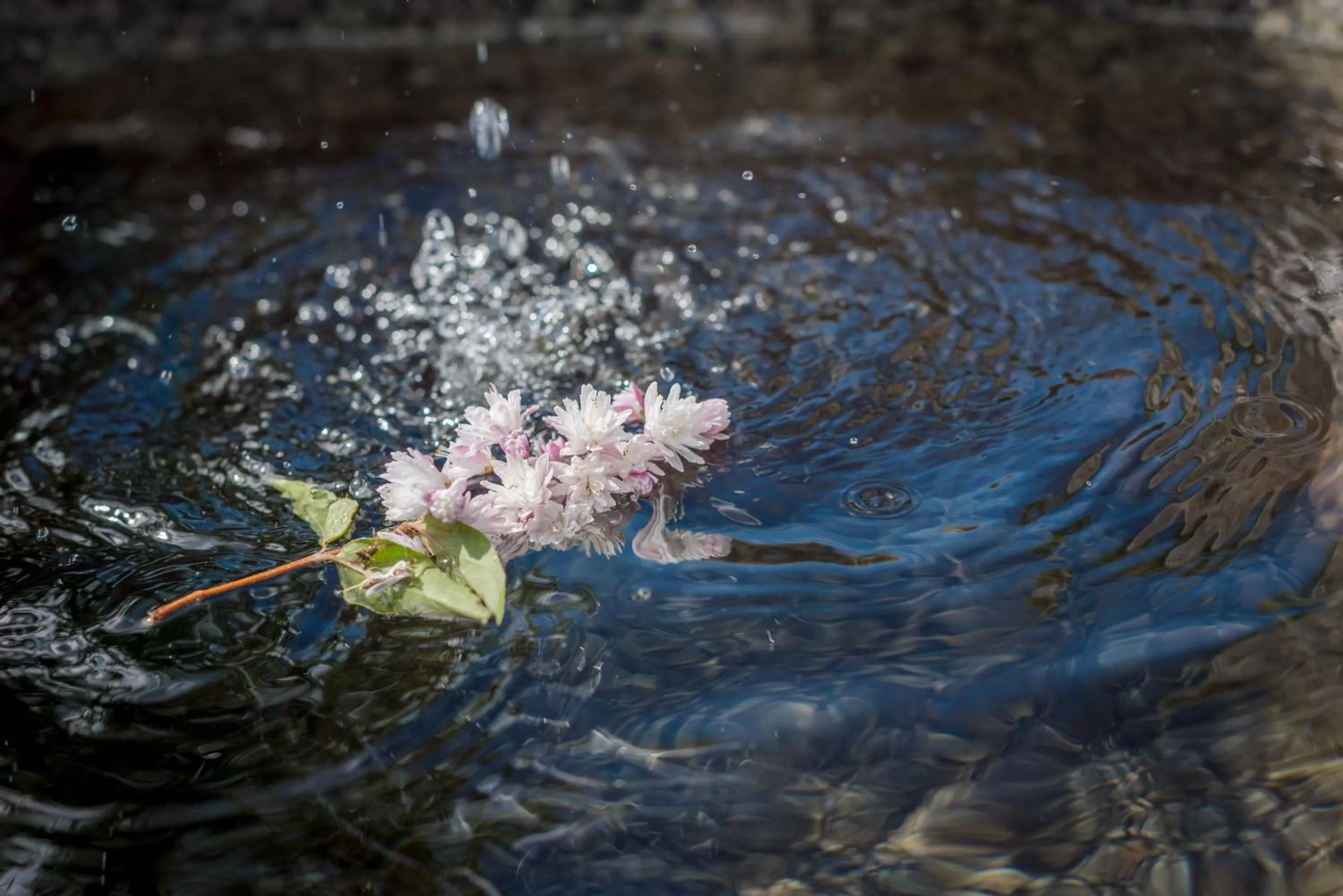 Decorative detail in Almwelt Austria
