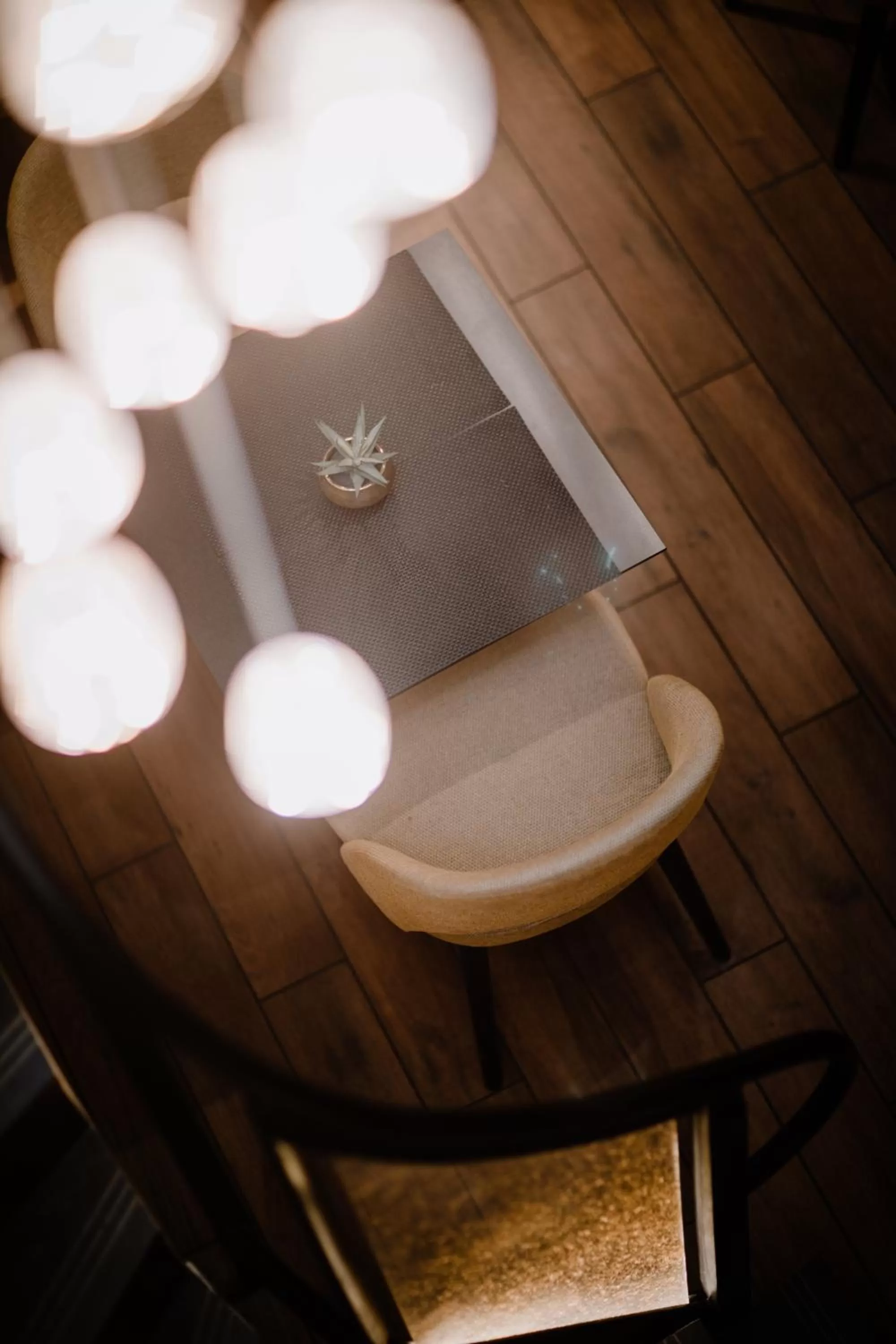 Living room in Prince Albert Lyon Bercy