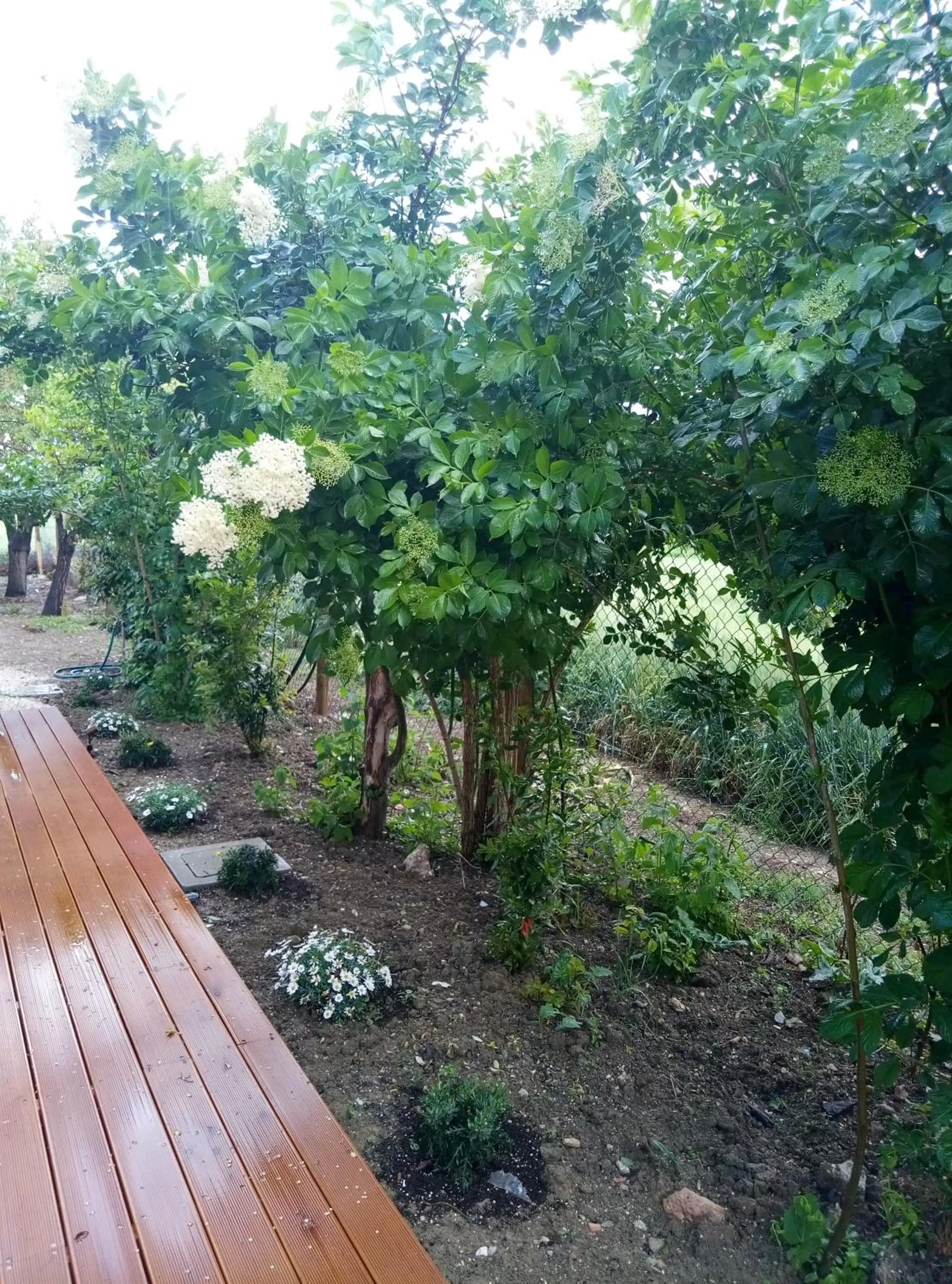 Natural landscape in La Casa di Tara B&B Armonia e Natura