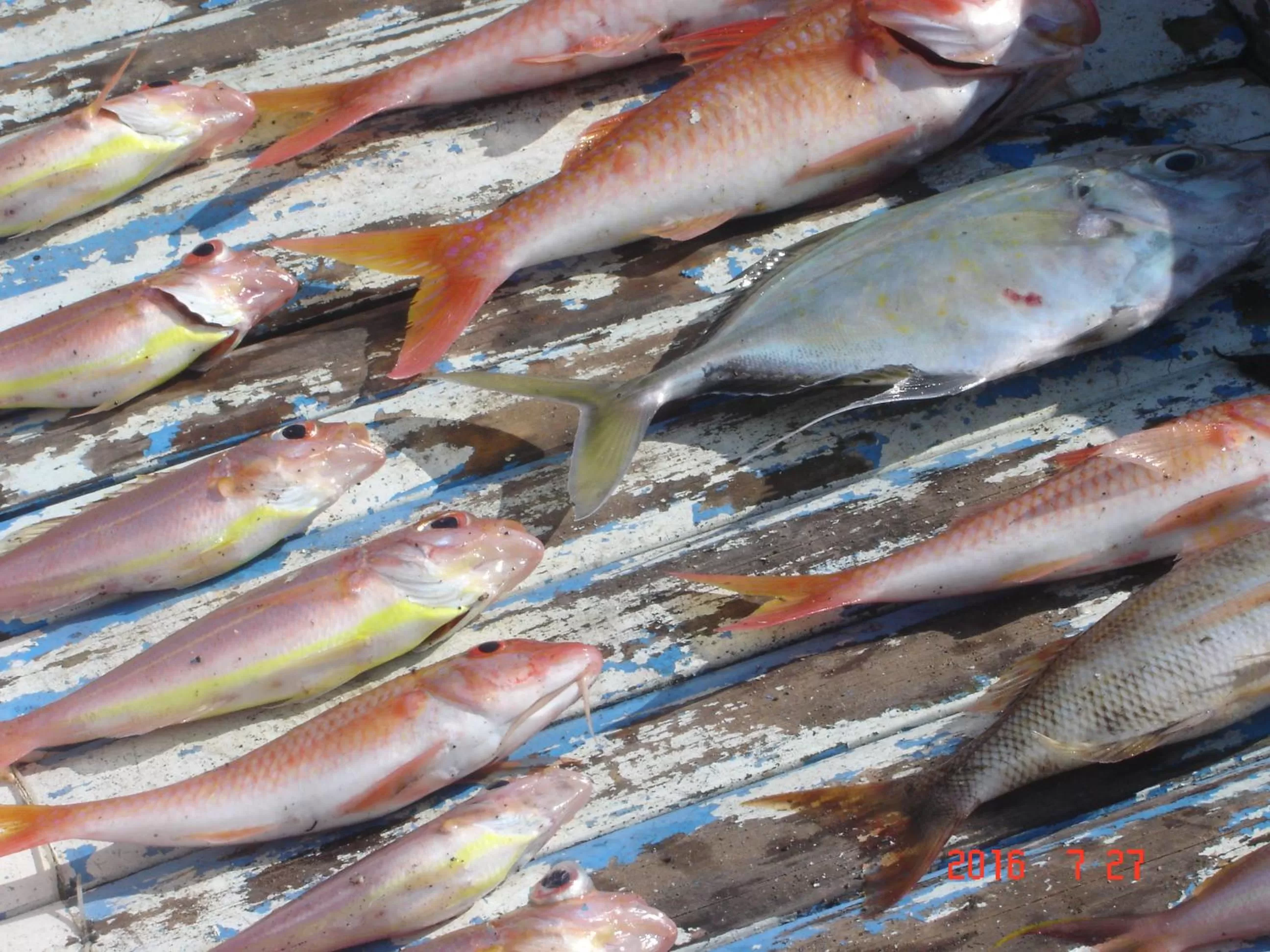 Food in Penginapan Sedap Malam