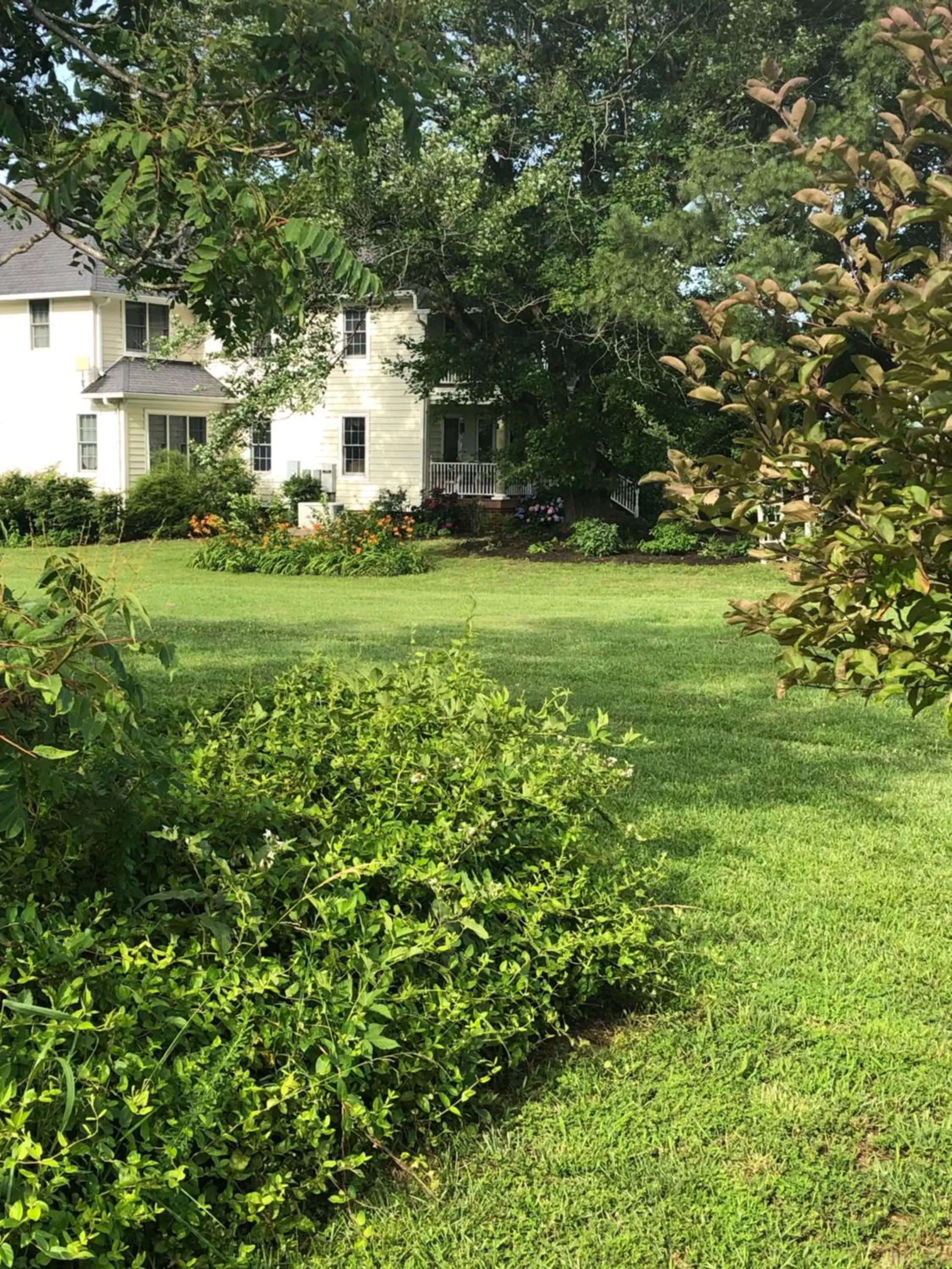 Garden in Ma Margarets House Bed and Breakfast