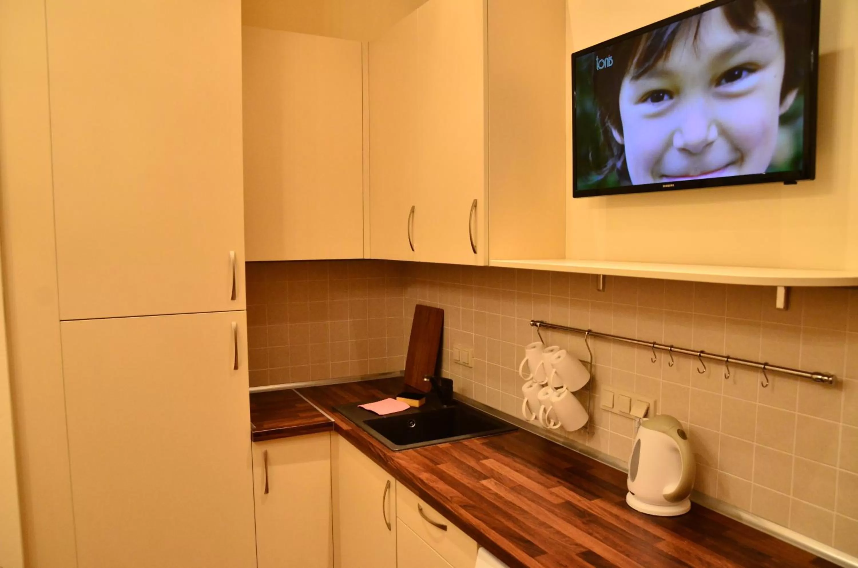 Kitchen or kitchenette, TV/Entertainment Center in Belokorichi