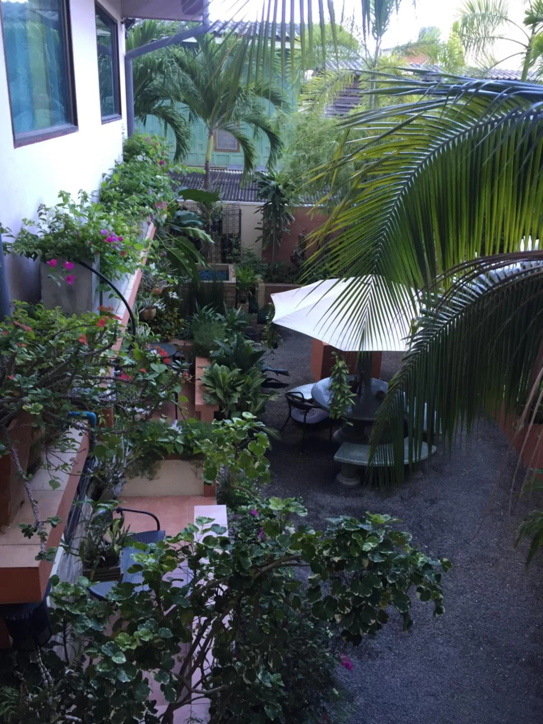 Garden view in Sofia Hotel