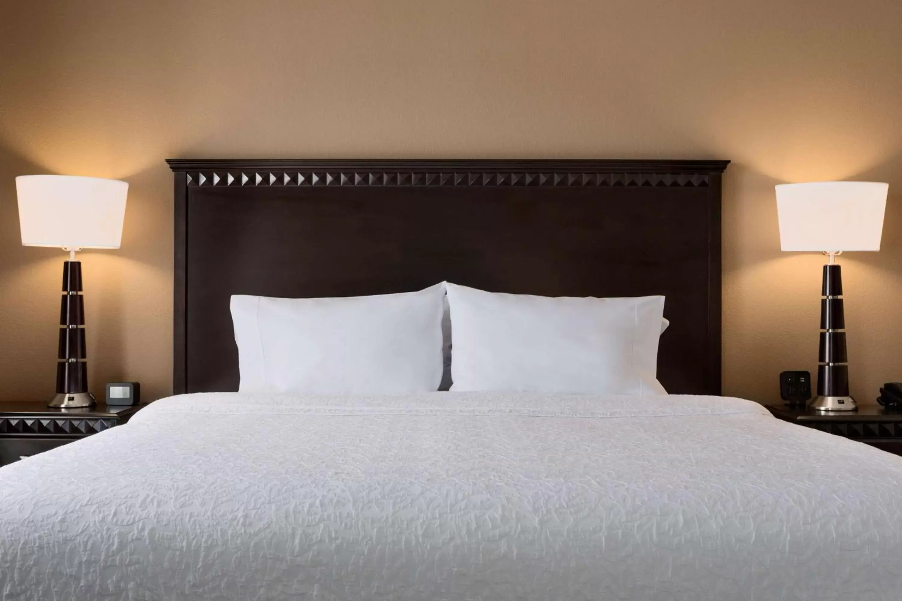 King Room with Sofa Bed in Hampton Inn and Suites Parkersburg Downtown King Room with Sofa Bed in Hampton Inn and Suites Parkersburg Downtown