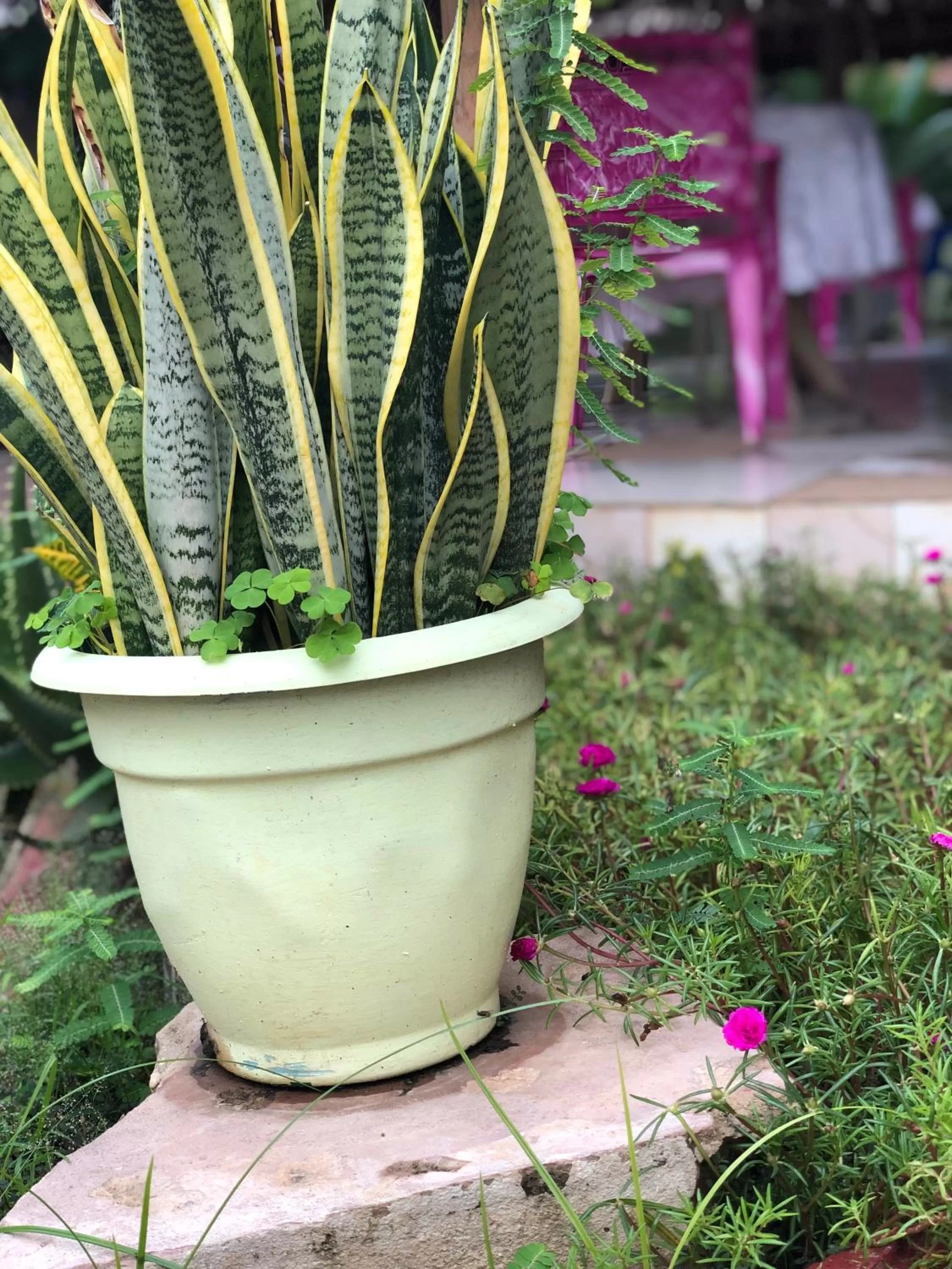 L&J Modern Backpackers Kinondoni