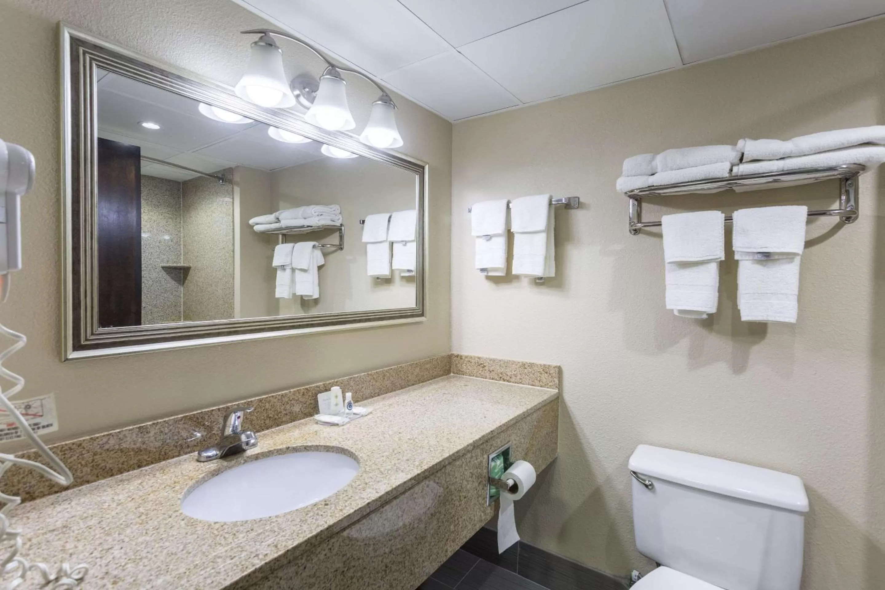 Bathroom in Comfort Inn Decatur Priceville