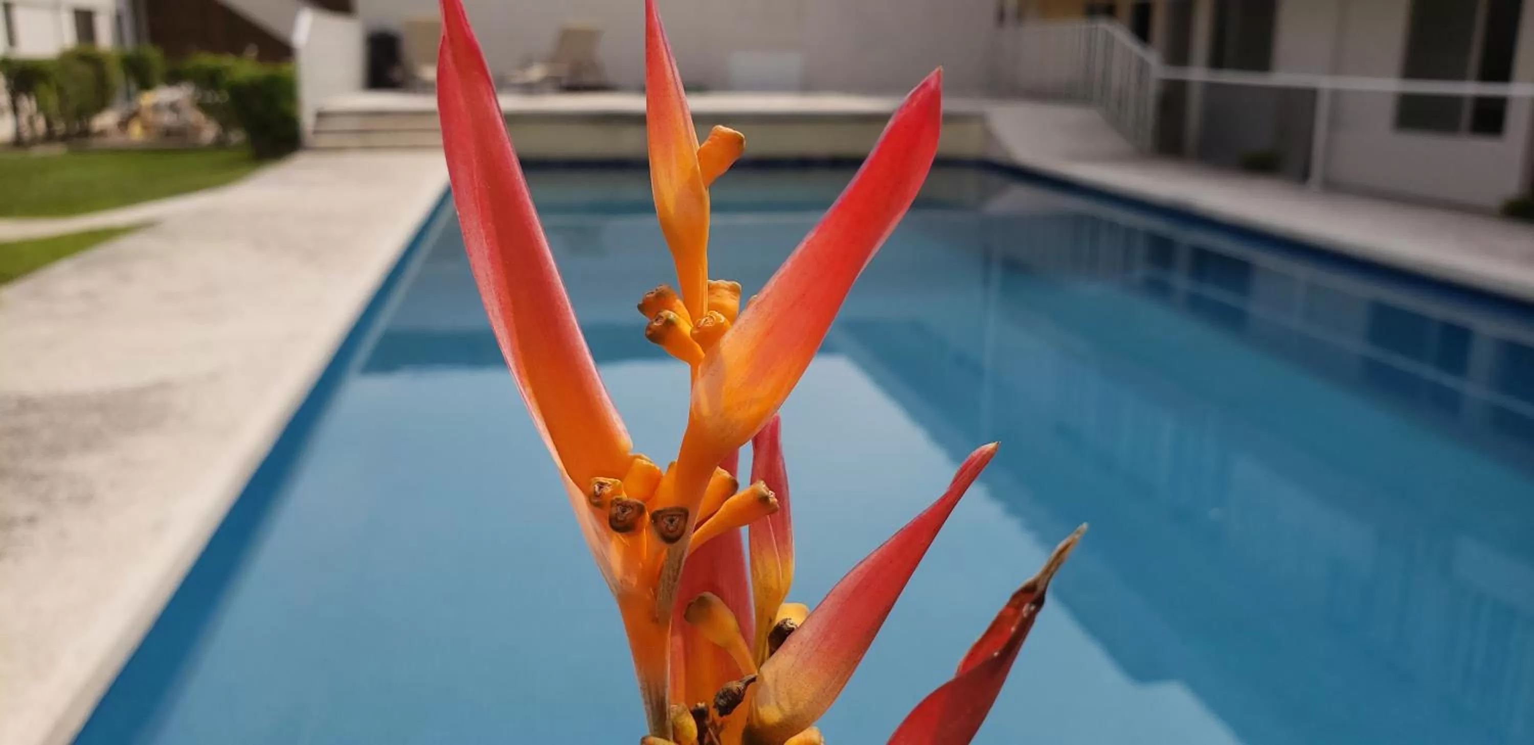 Swimming pool in AOHOM SANTUARIO HOTEL & SPA