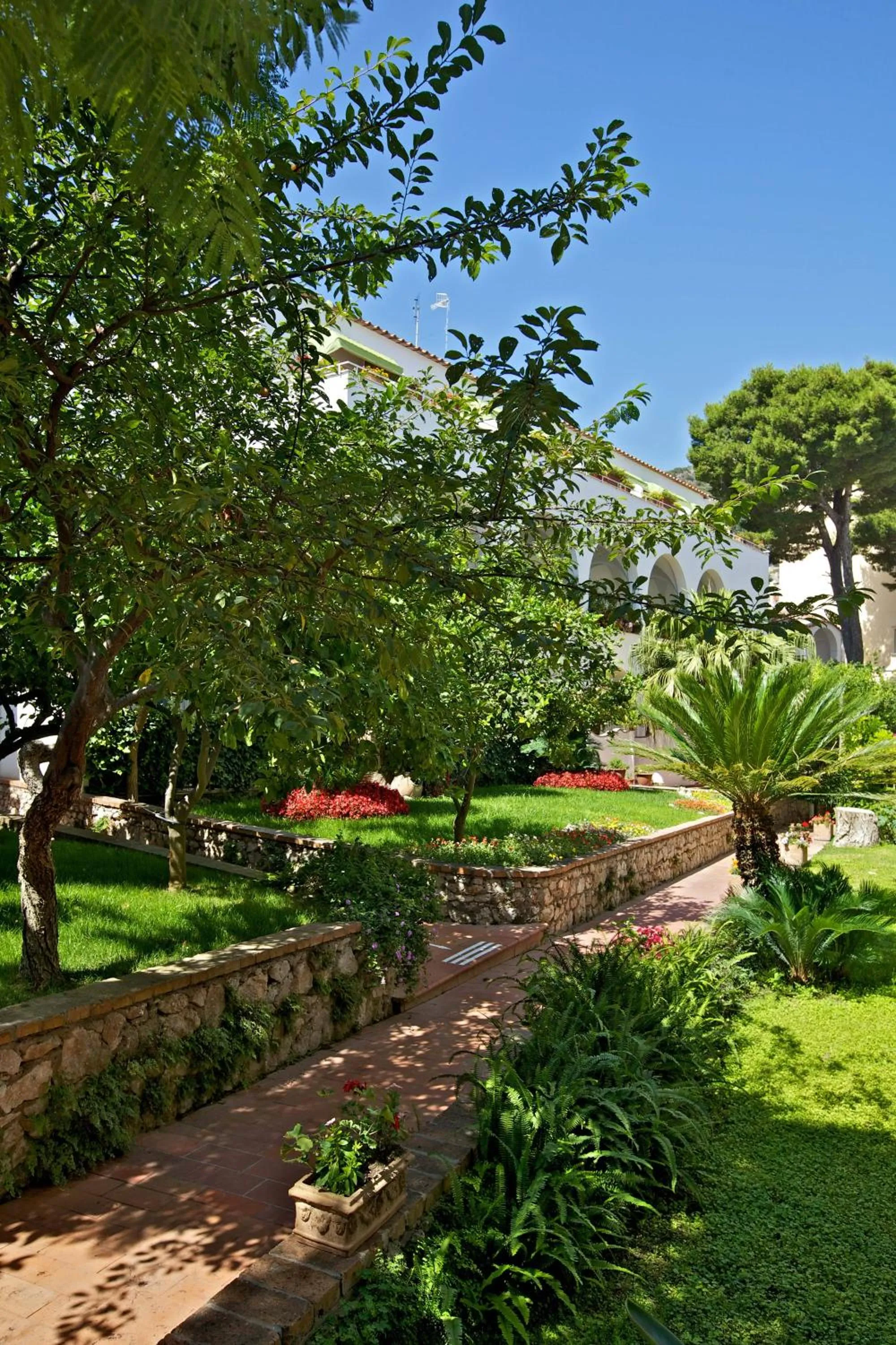 Garden in Hotel San Felice
